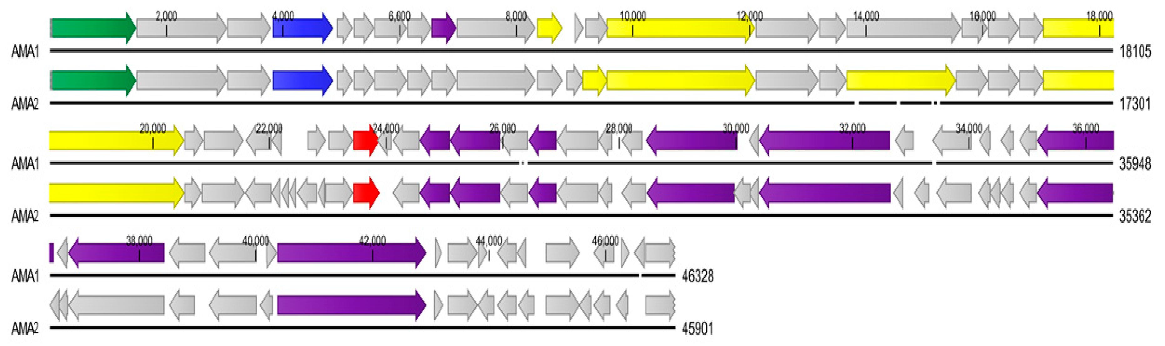 Viruses 12 01138 g003 Viruses 12 01138 g003