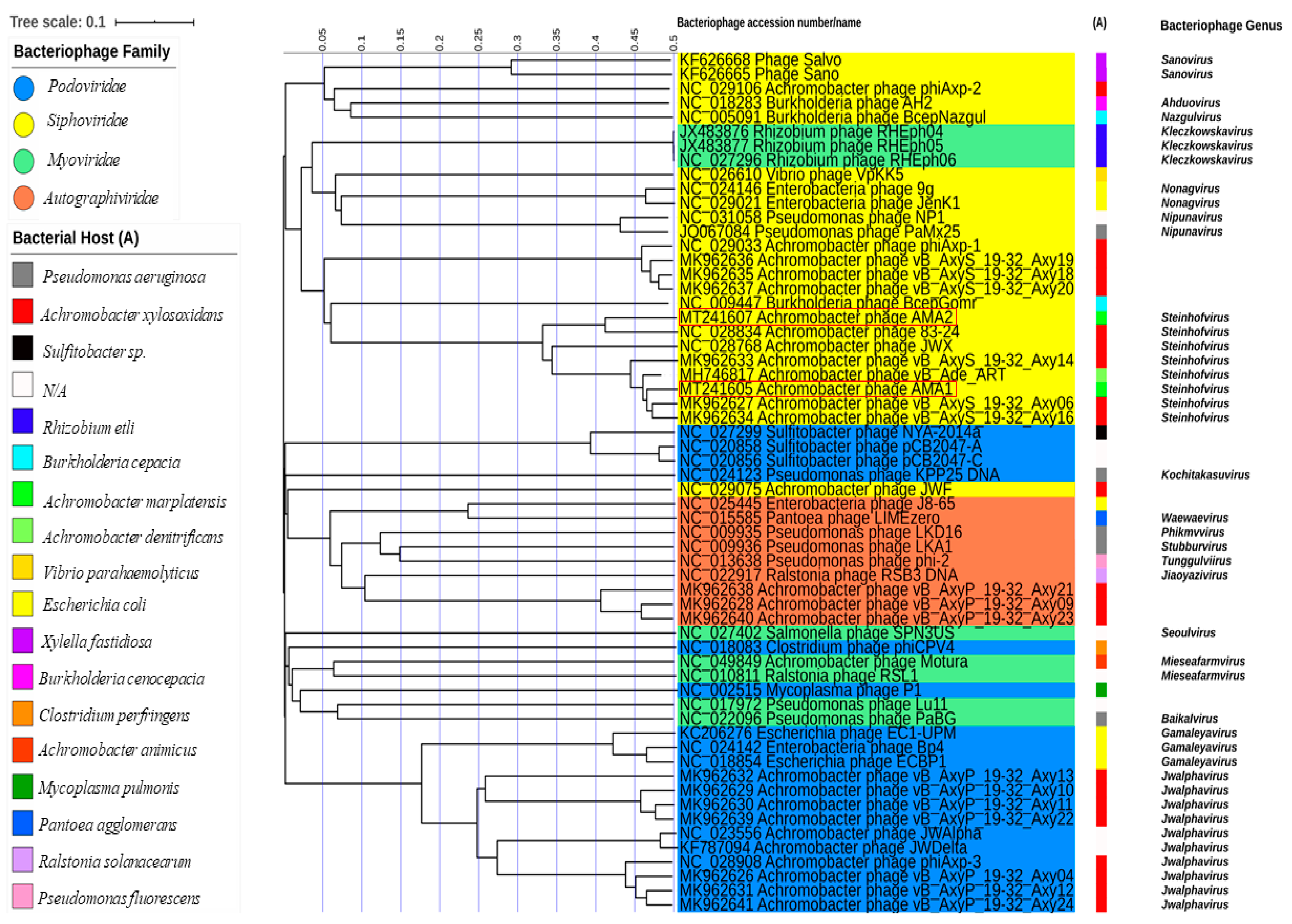 Viruses 12 01138 g004 Viruses 12 01138 g004