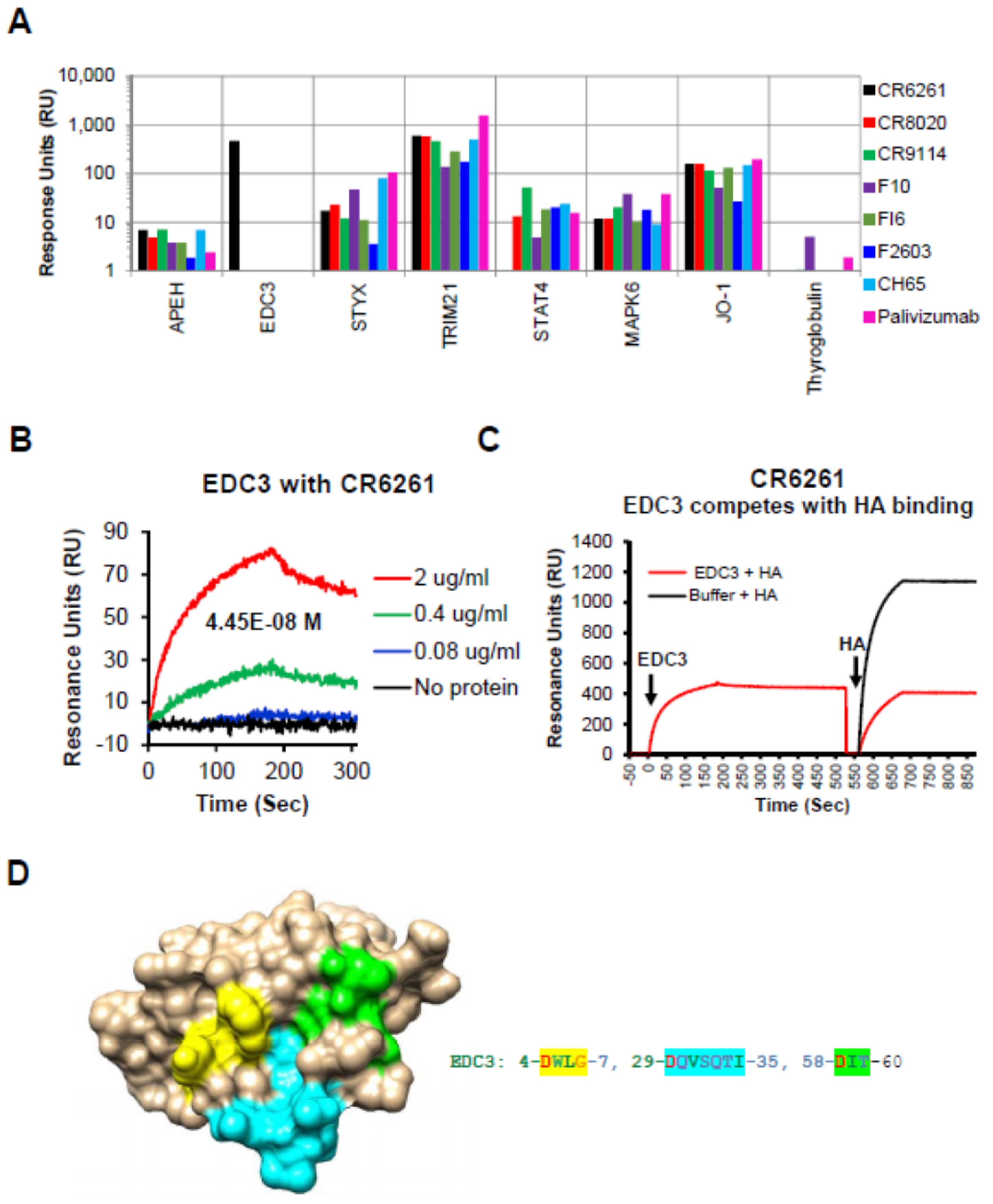 Viruses 12 01140 g001 Viruses 12 01140 g001