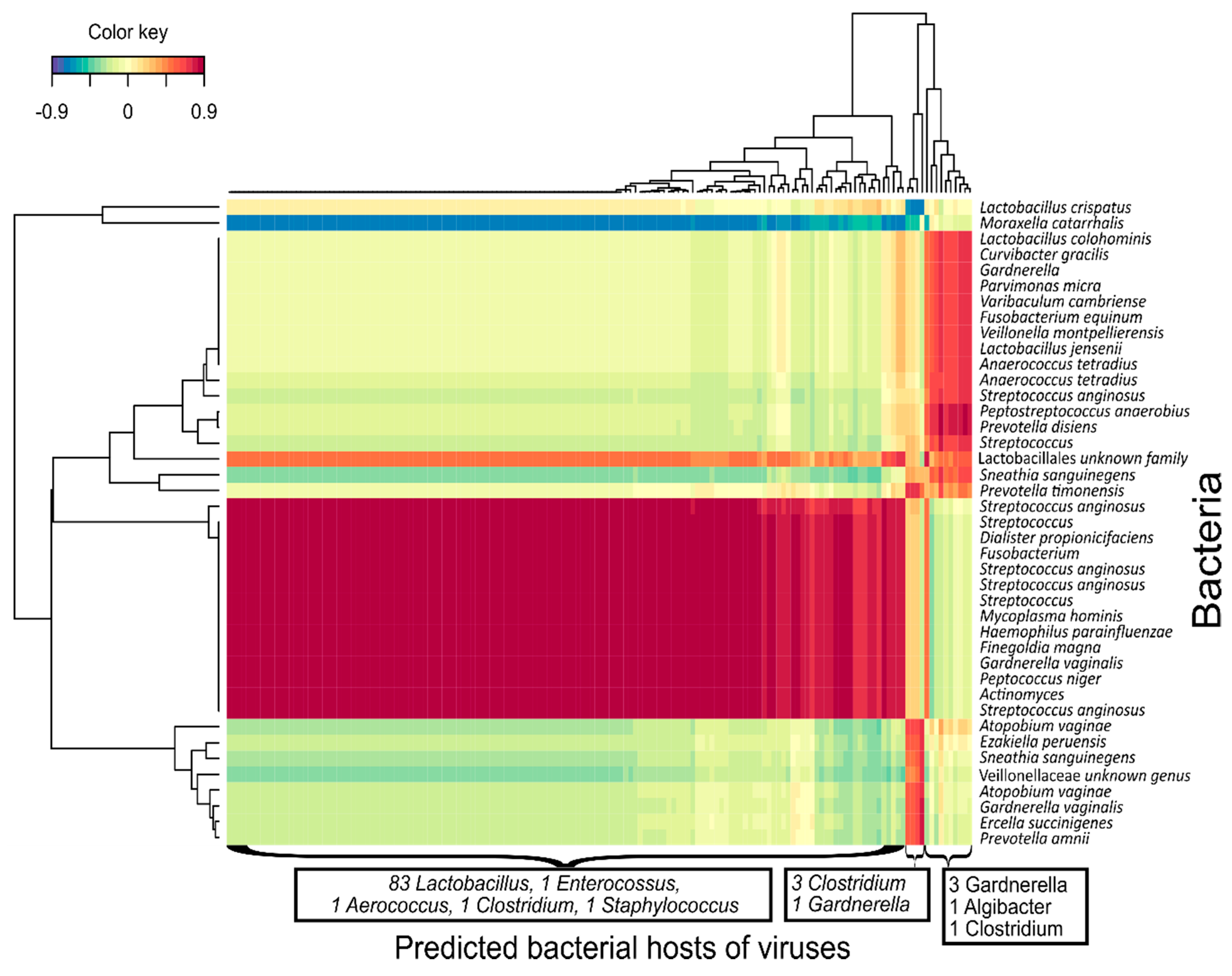 Viruses 12 01143 g003