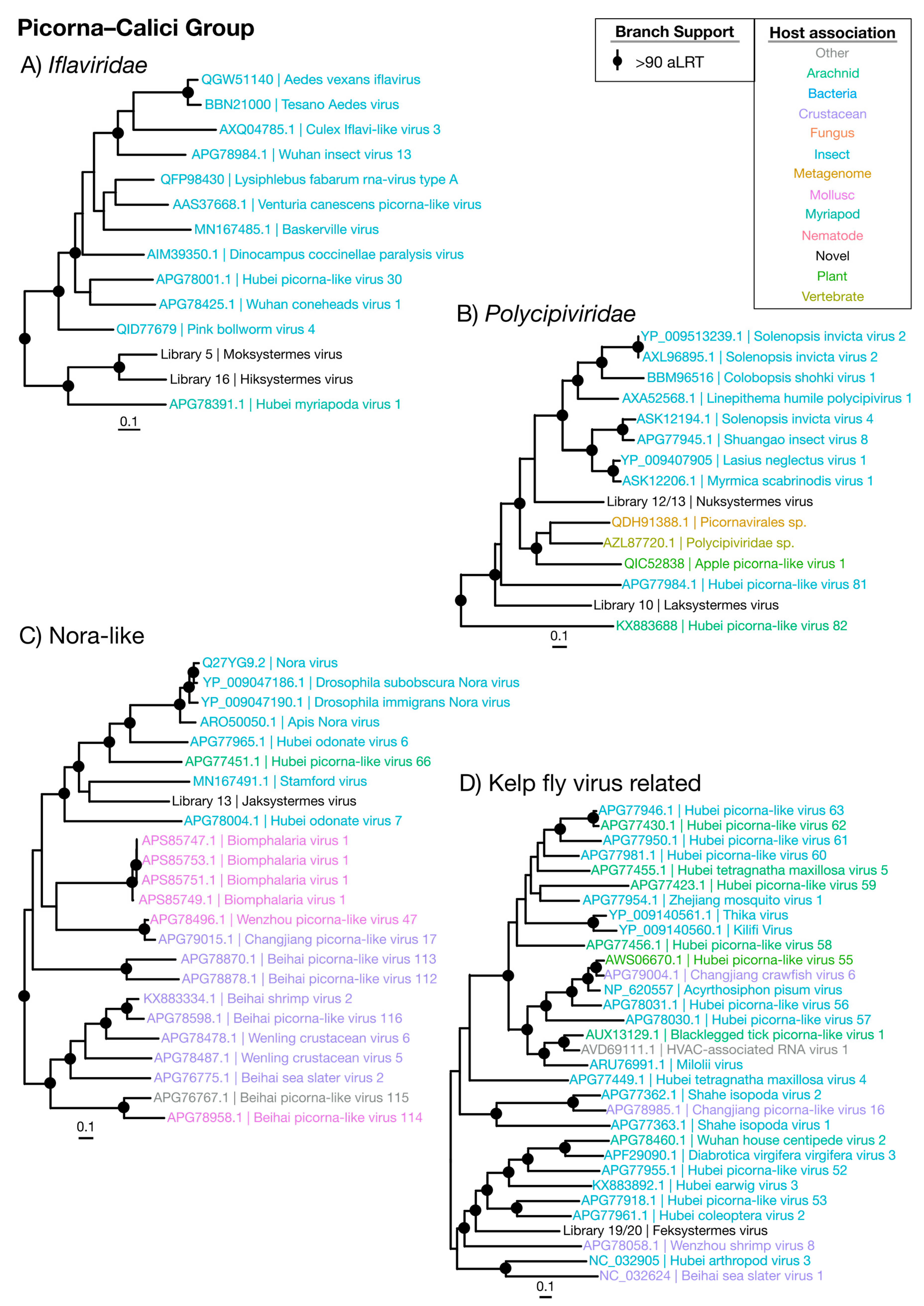 Viruses 12 01145 g004