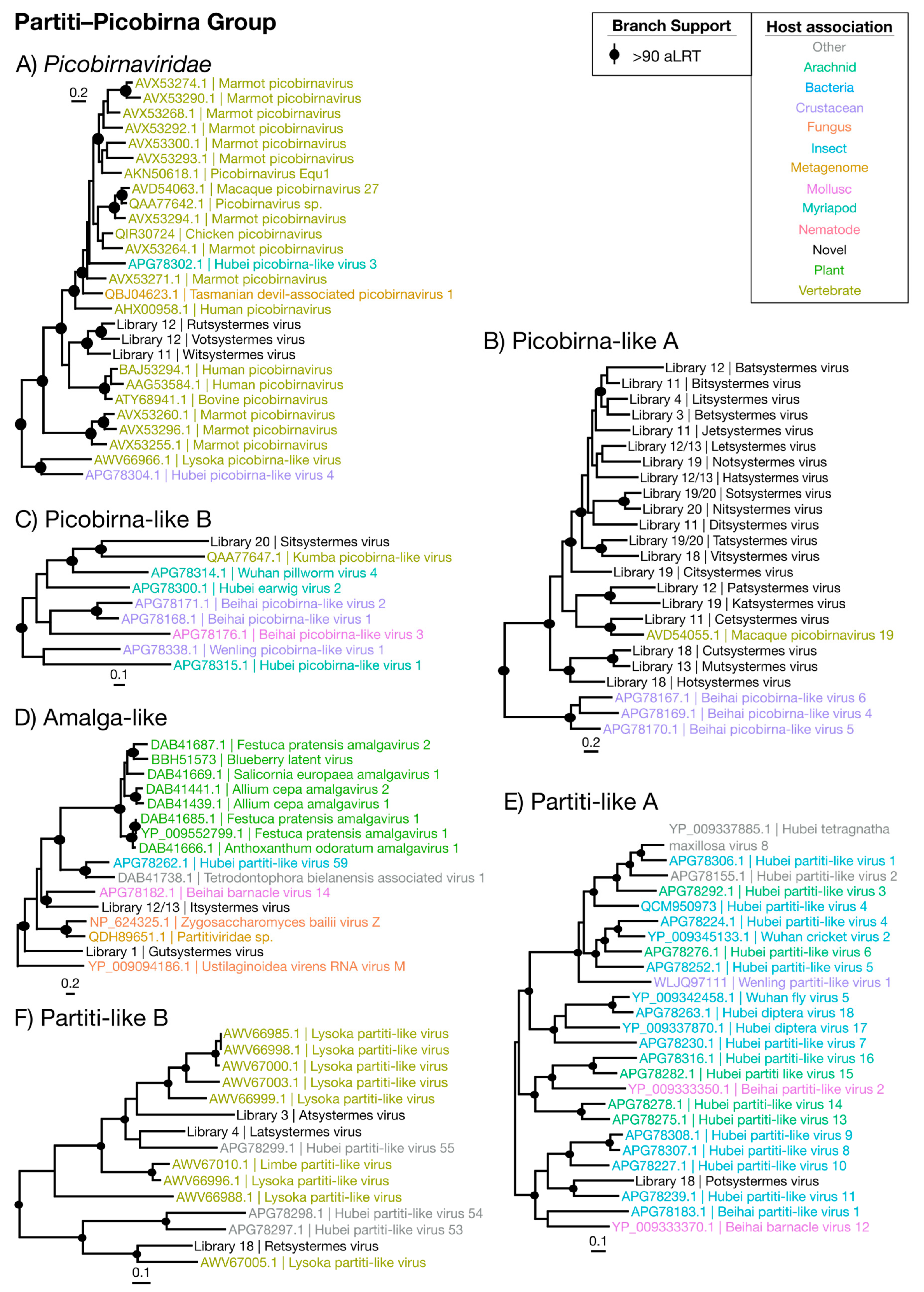 Viruses 12 01145 g007