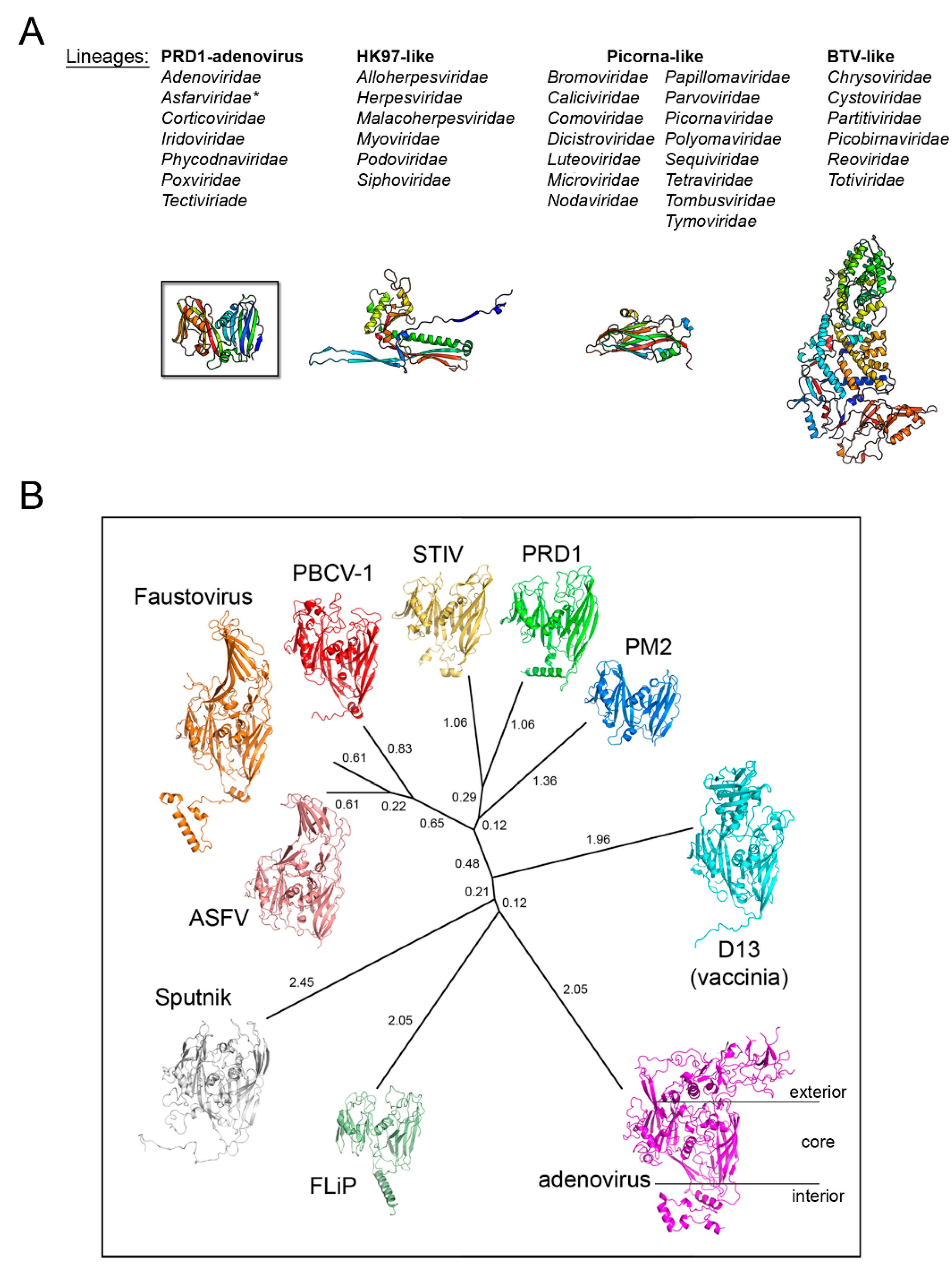 Viruses 12 01146 g002 Viruses 12 01146 g002