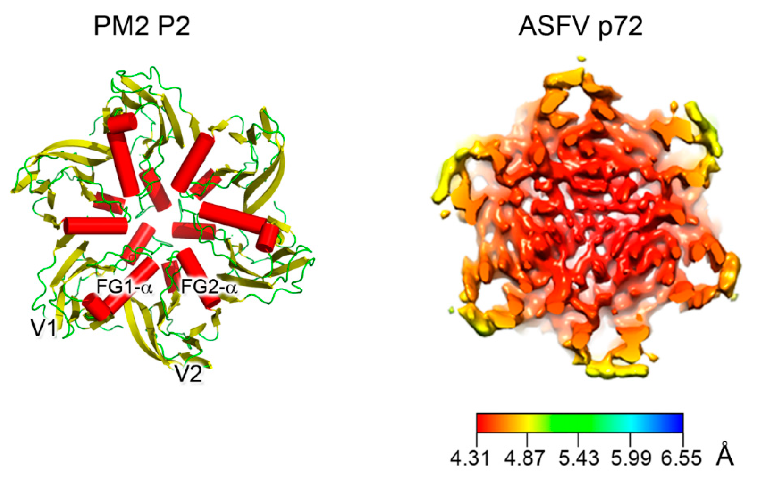 Viruses 12 01146 g003 Viruses 12 01146 g003