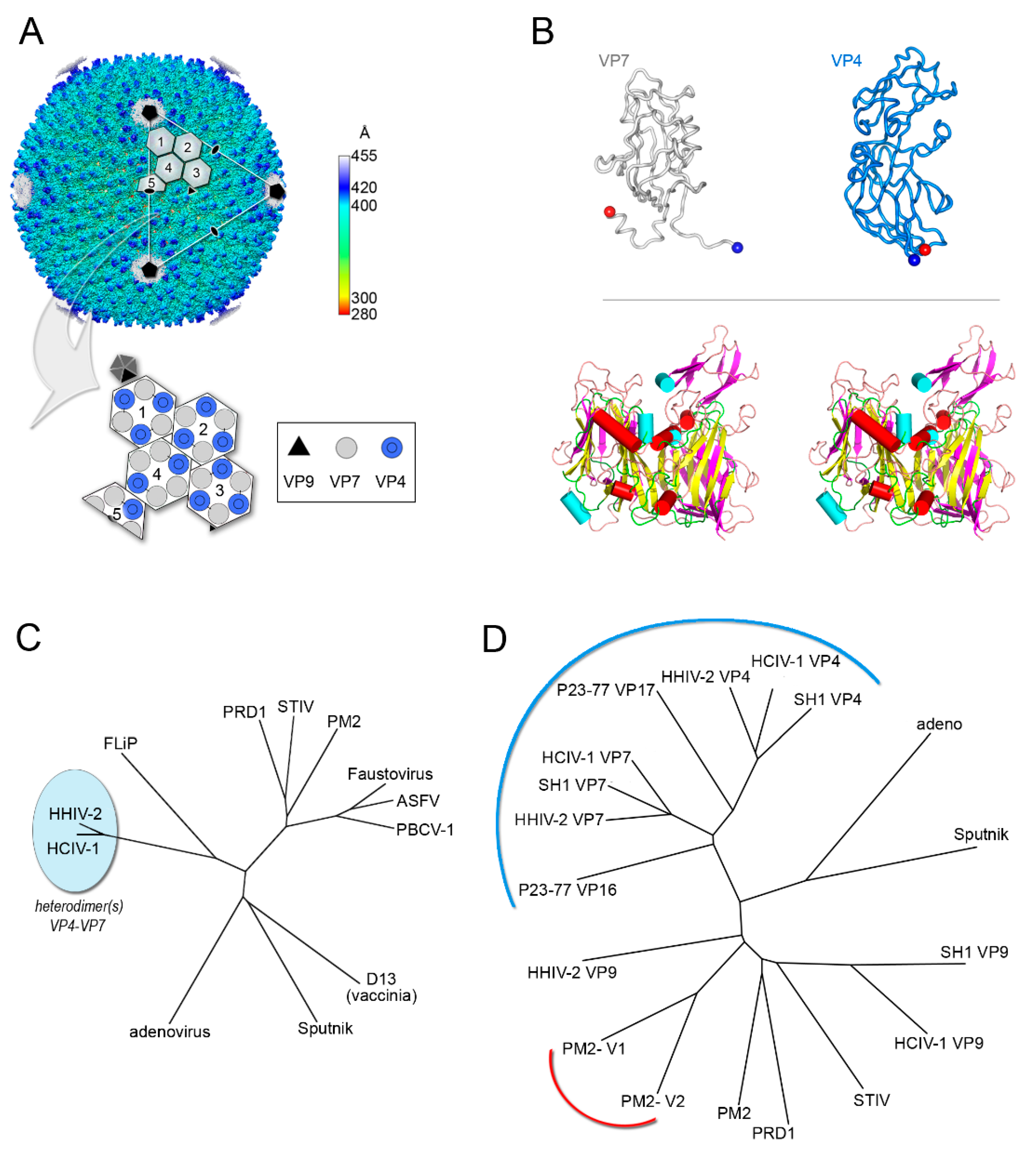 Viruses 12 01146 g004 Viruses 12 01146 g004