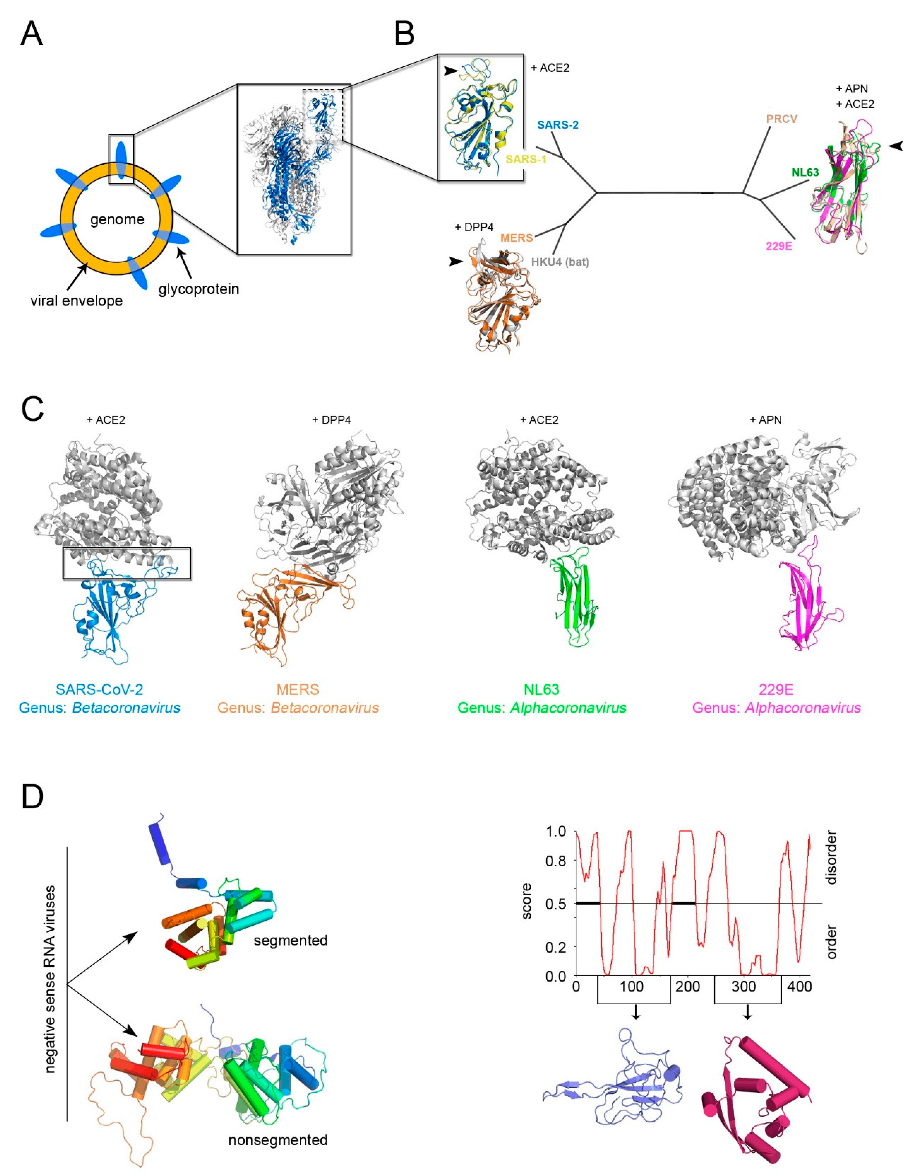 Viruses 12 01146 g005 Viruses 12 01146 g005