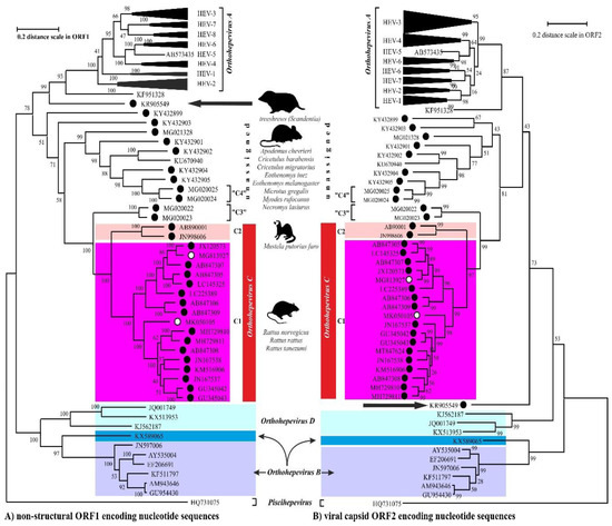 Viruses 12 01148 g003 550