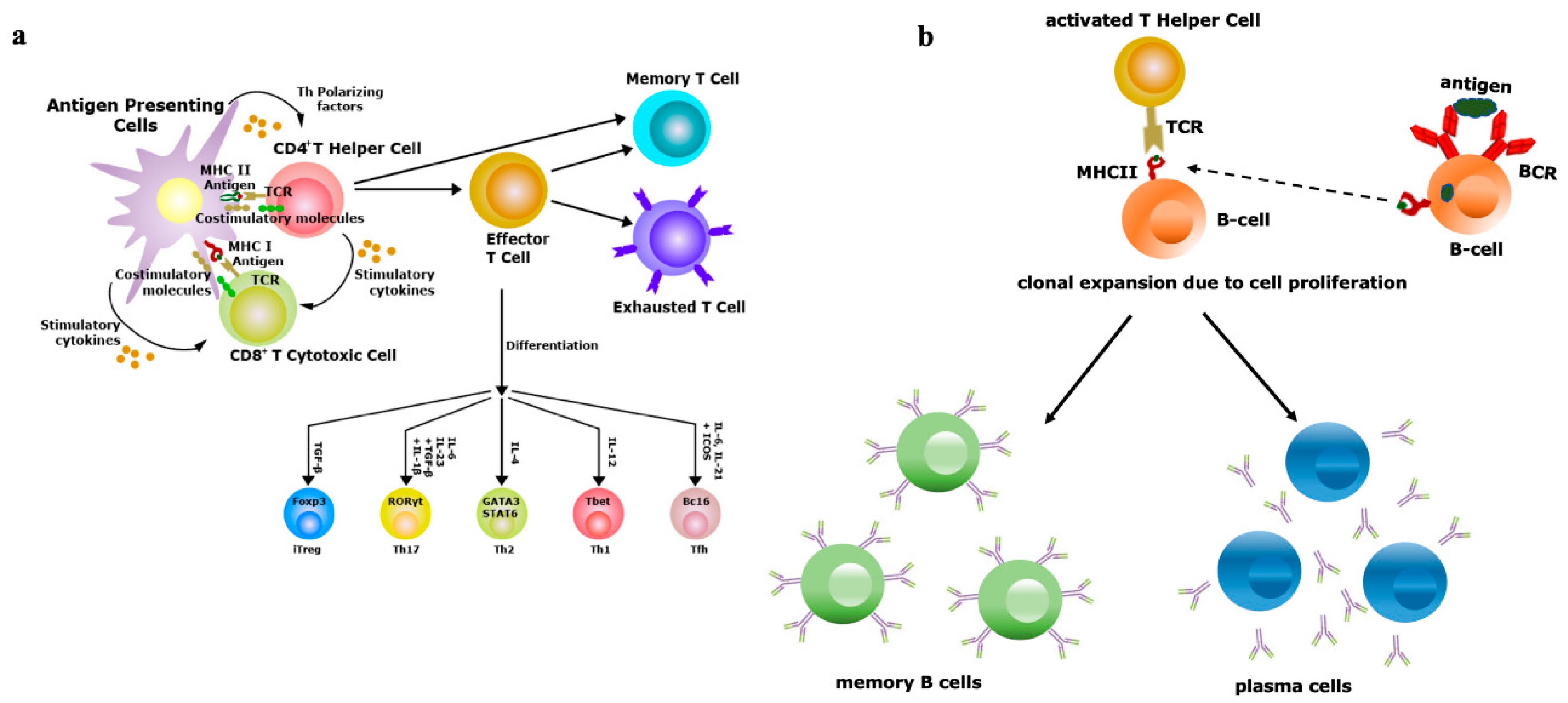 Viruses 12 01150 g002