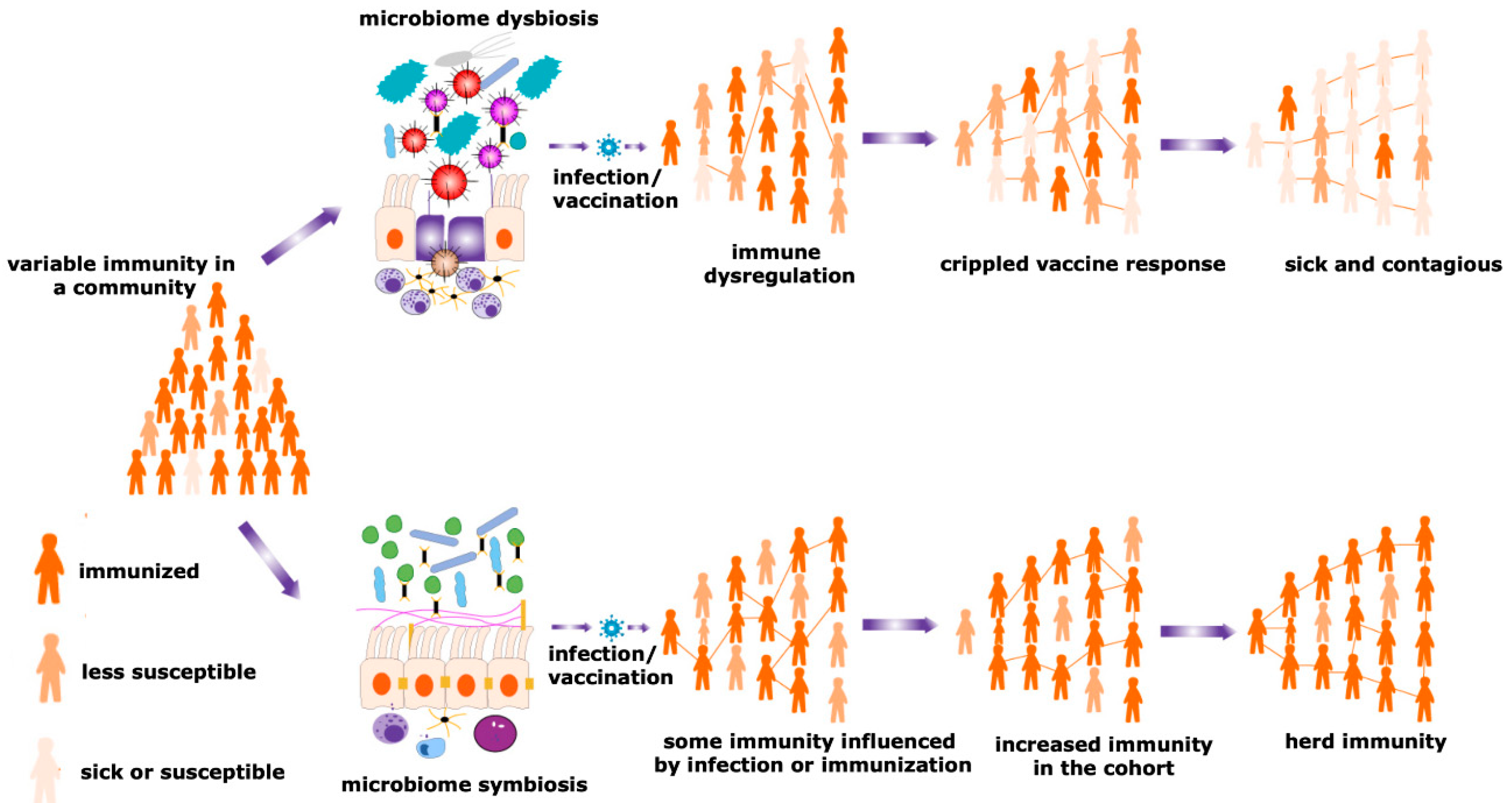 Viruses 12 01150 g003