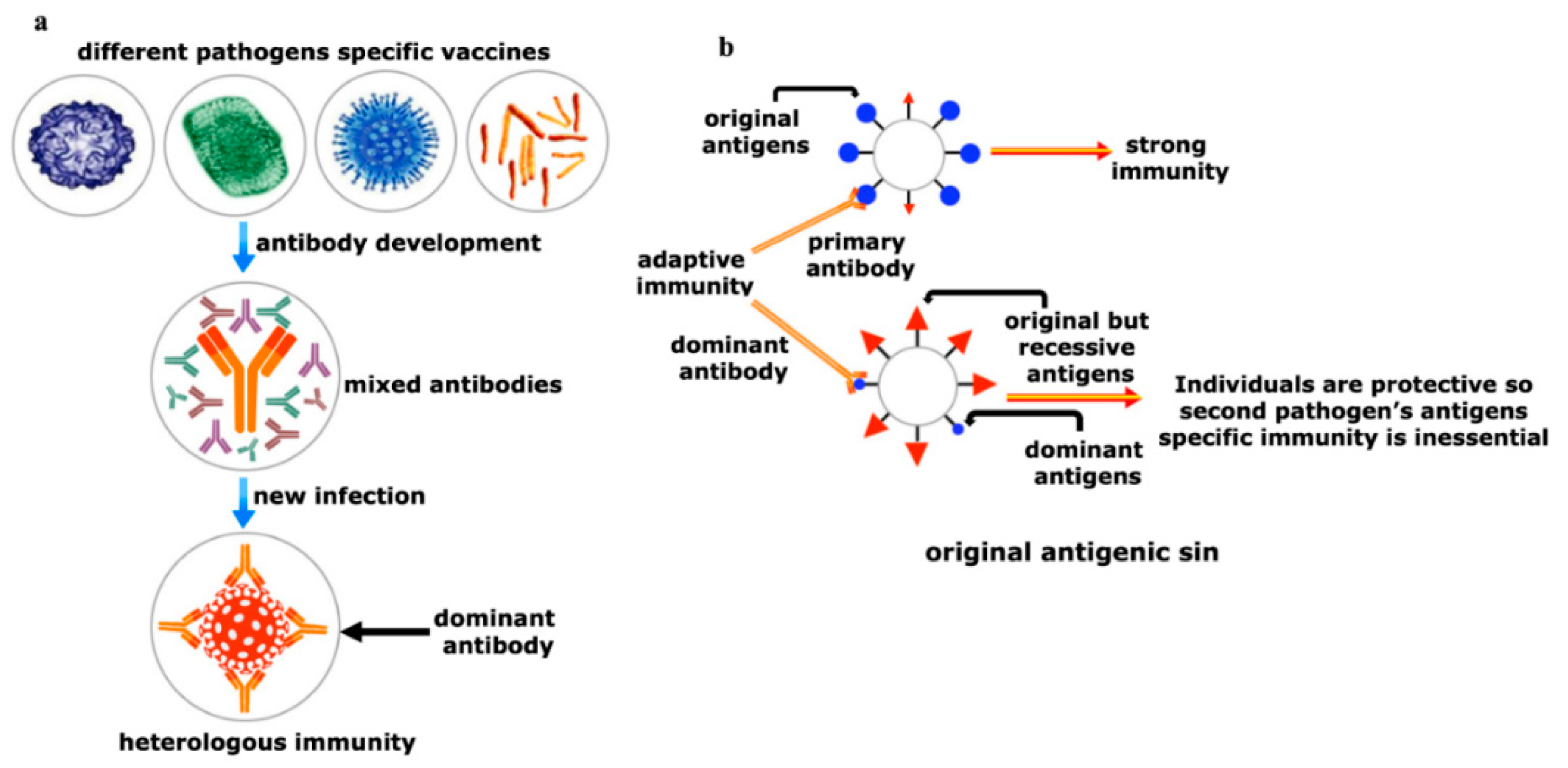 Viruses 12 01150 g005