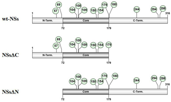 Viruses 12 01153 g001 550