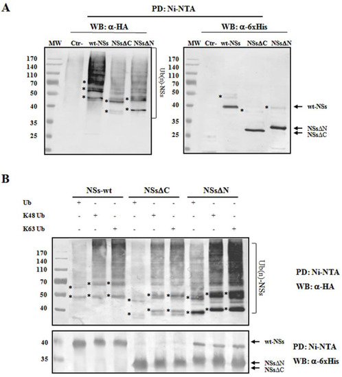 Viruses 12 01153 g004 550