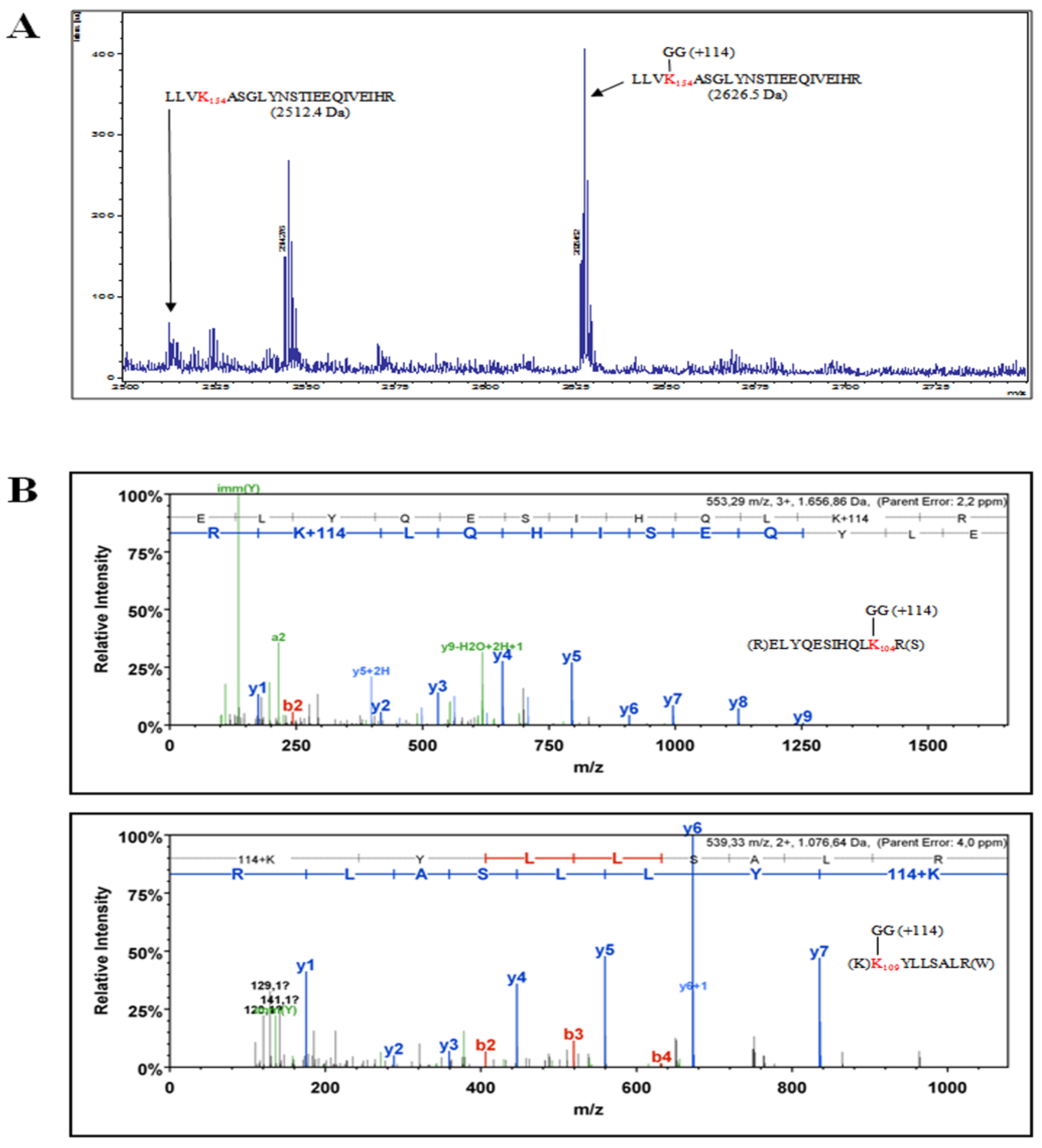 Viruses 12 01153 g005 Viruses 12 01153 g005