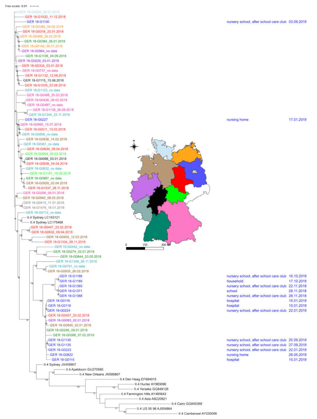 Viruses 12 01157 g004 Viruses 12 01157 g004
