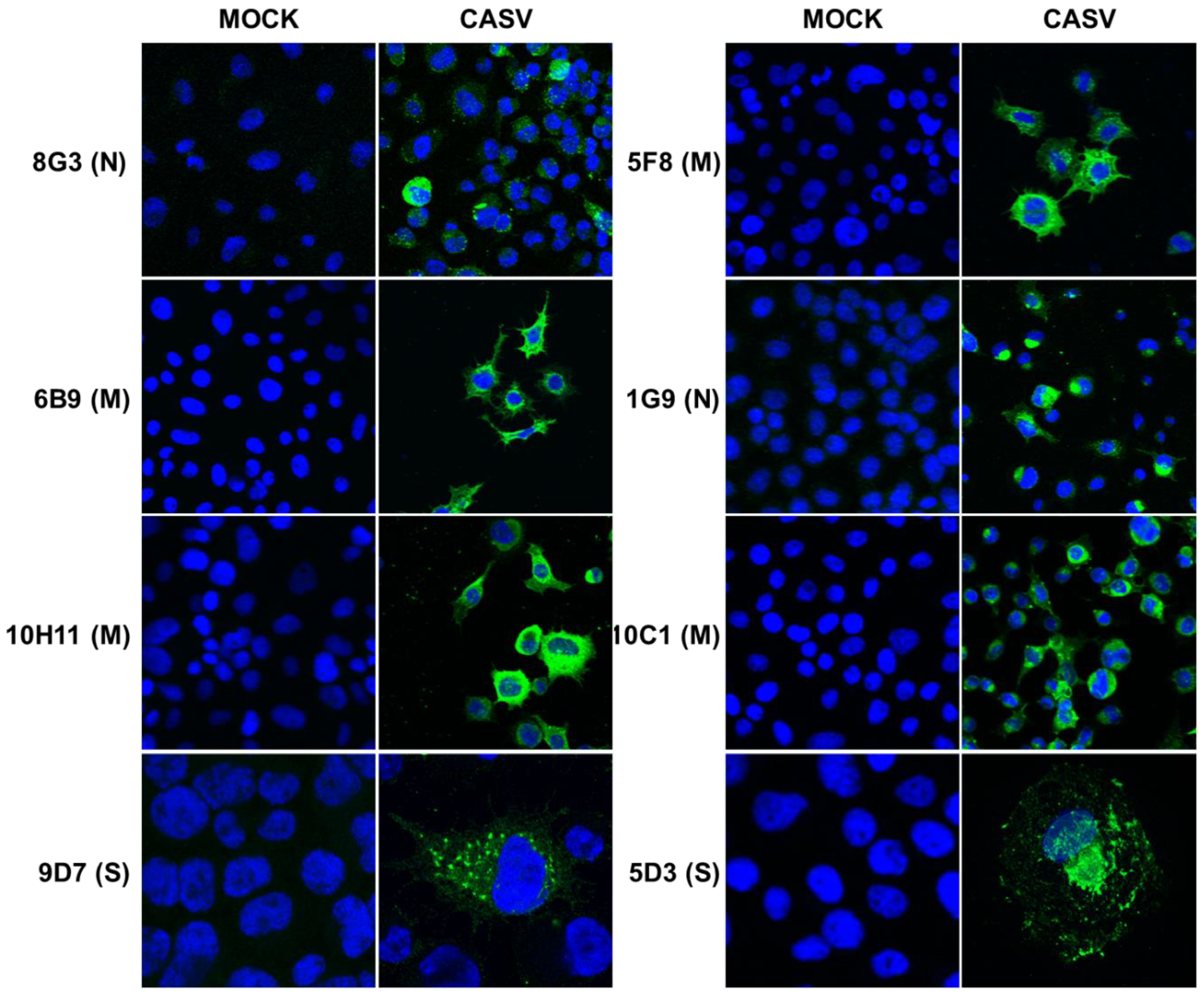Viruses 12 01159 g003