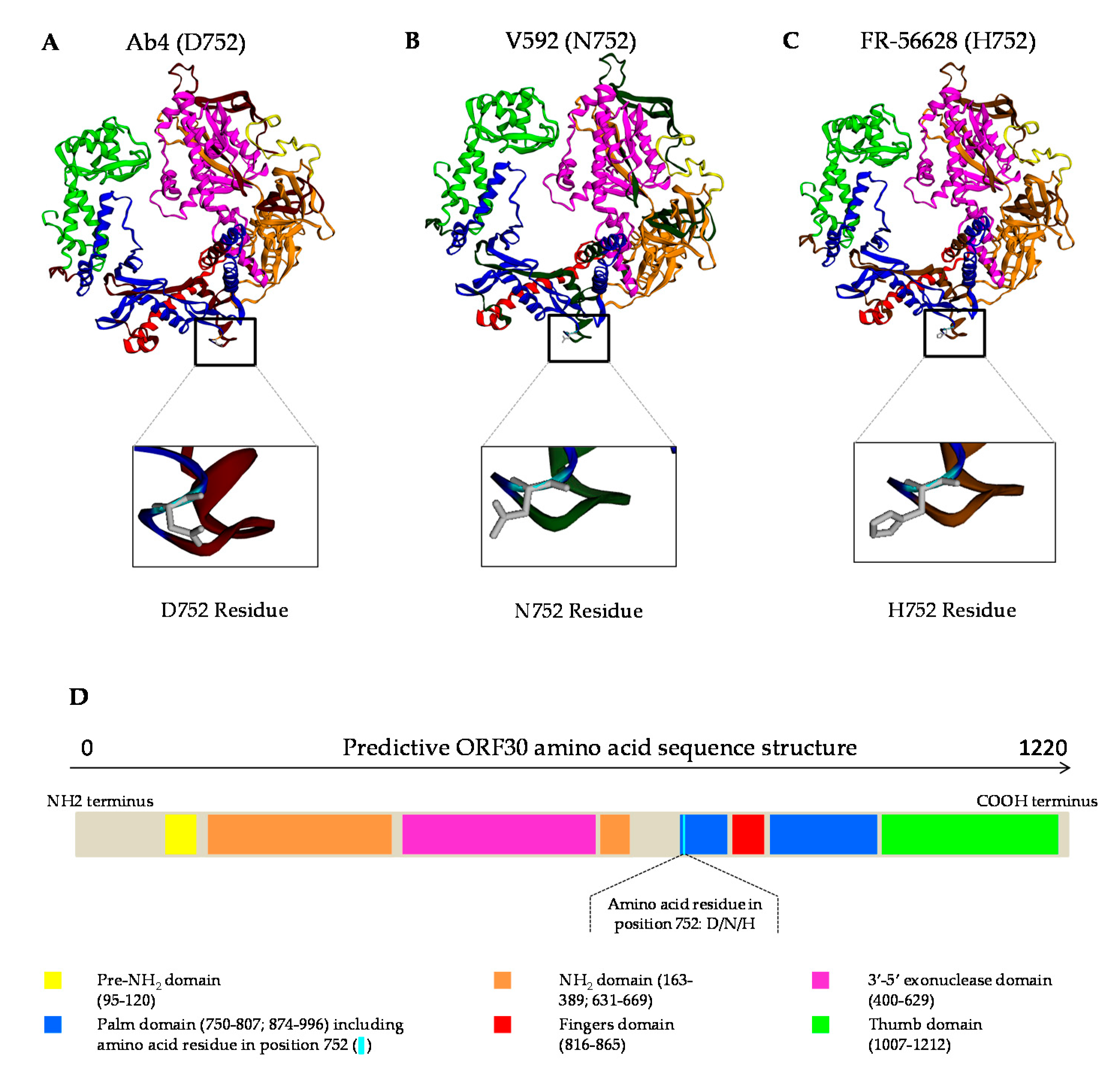 Viruses 12 01160 g005