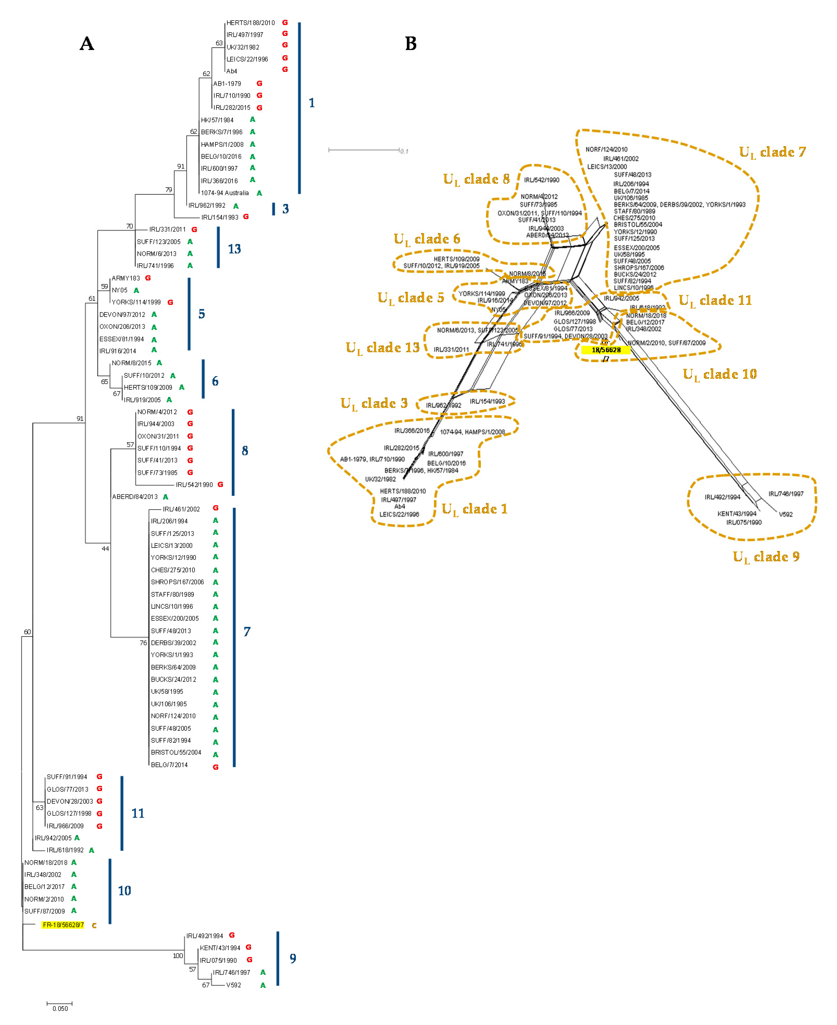 Viruses 12 01160 g007