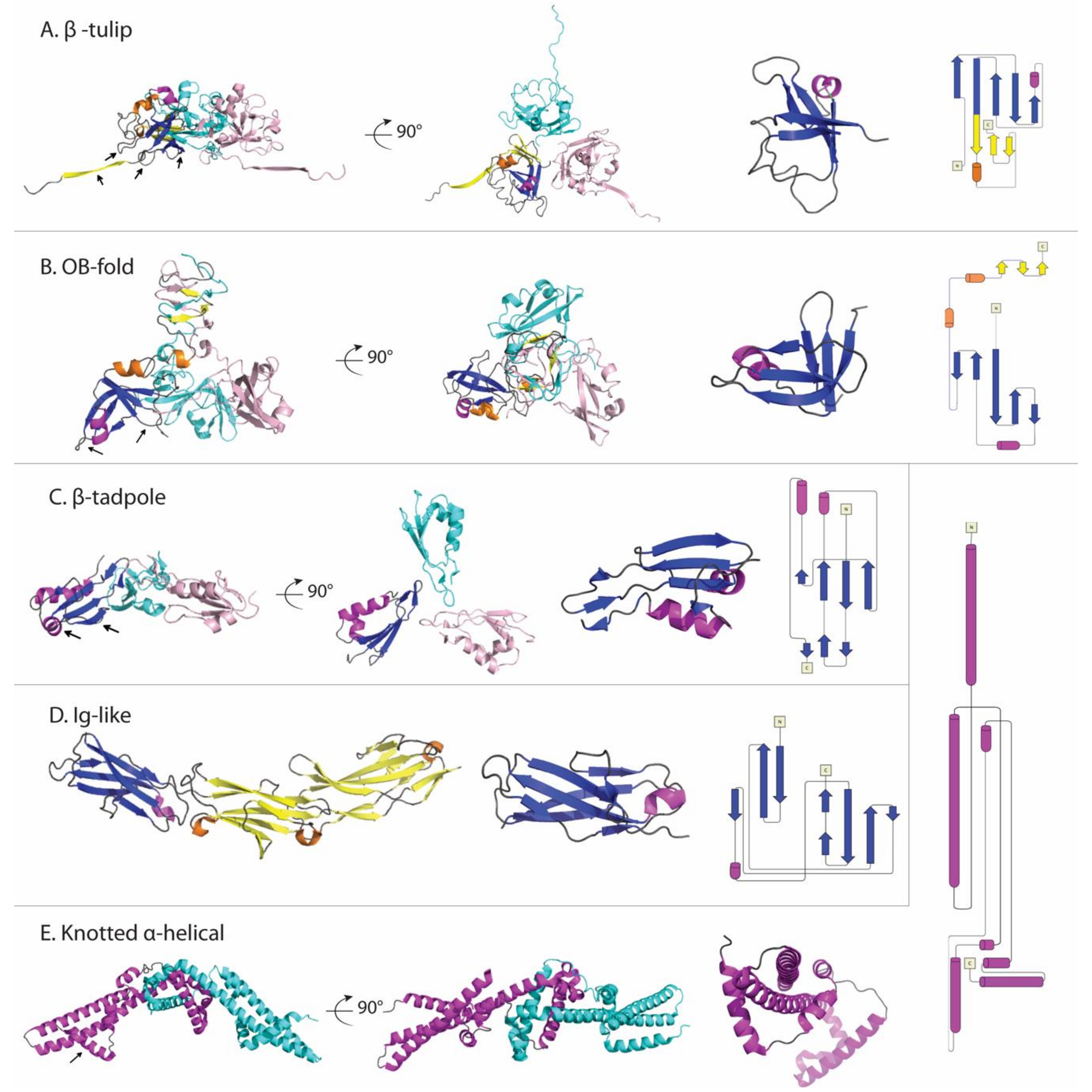 Viruses 12 01163 g002 Viruses 12 01163 g002