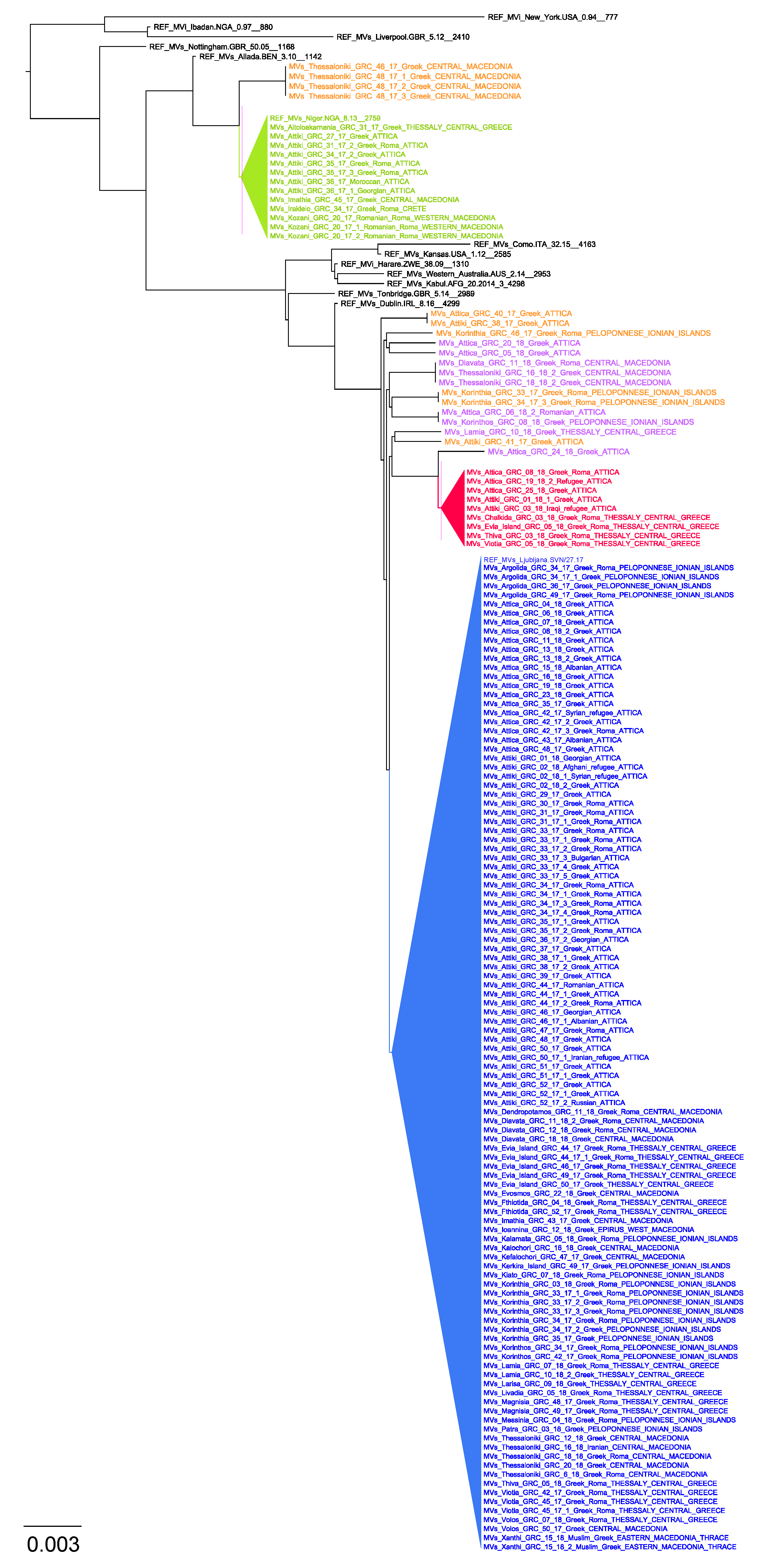 Viruses 12 01166 g001 Viruses 12 01166 g001