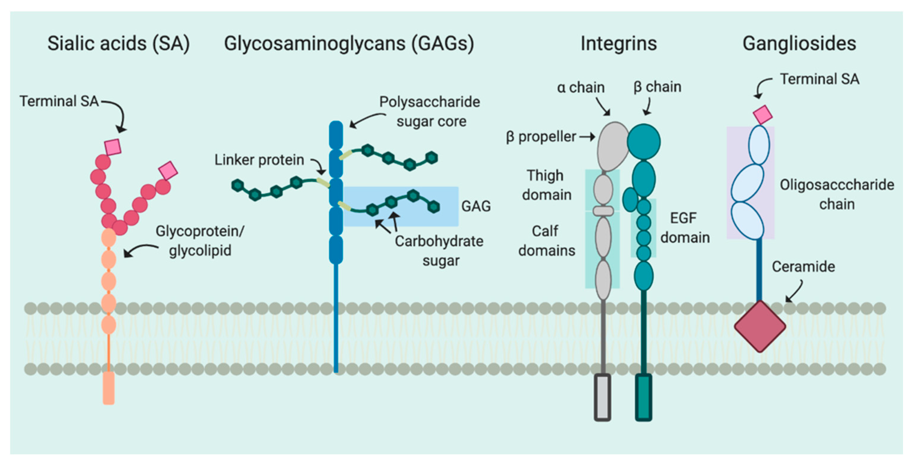 Viruses 12 01168 g001 Viruses 12 01168 g001