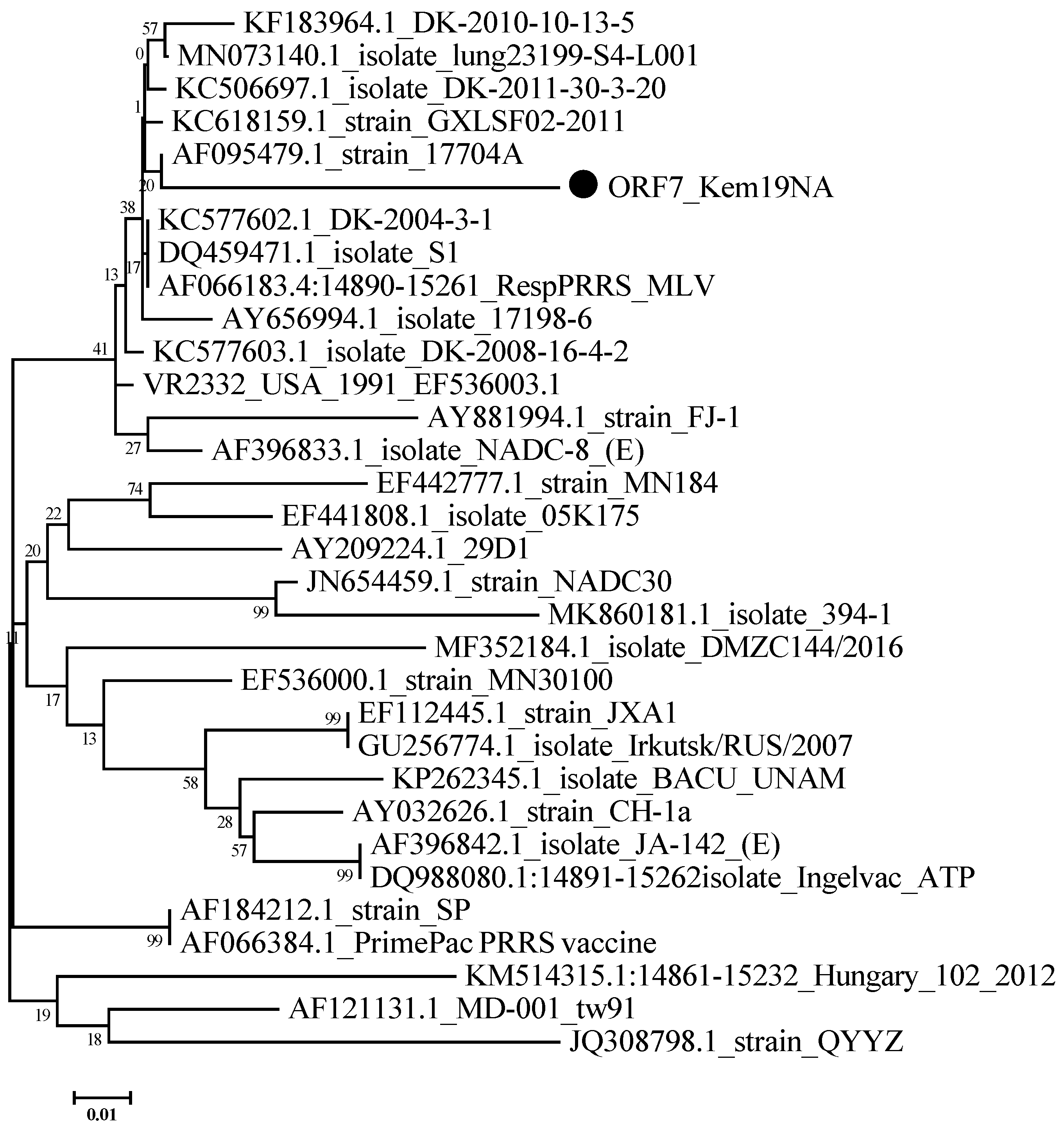 Viruses 12 01169 g004