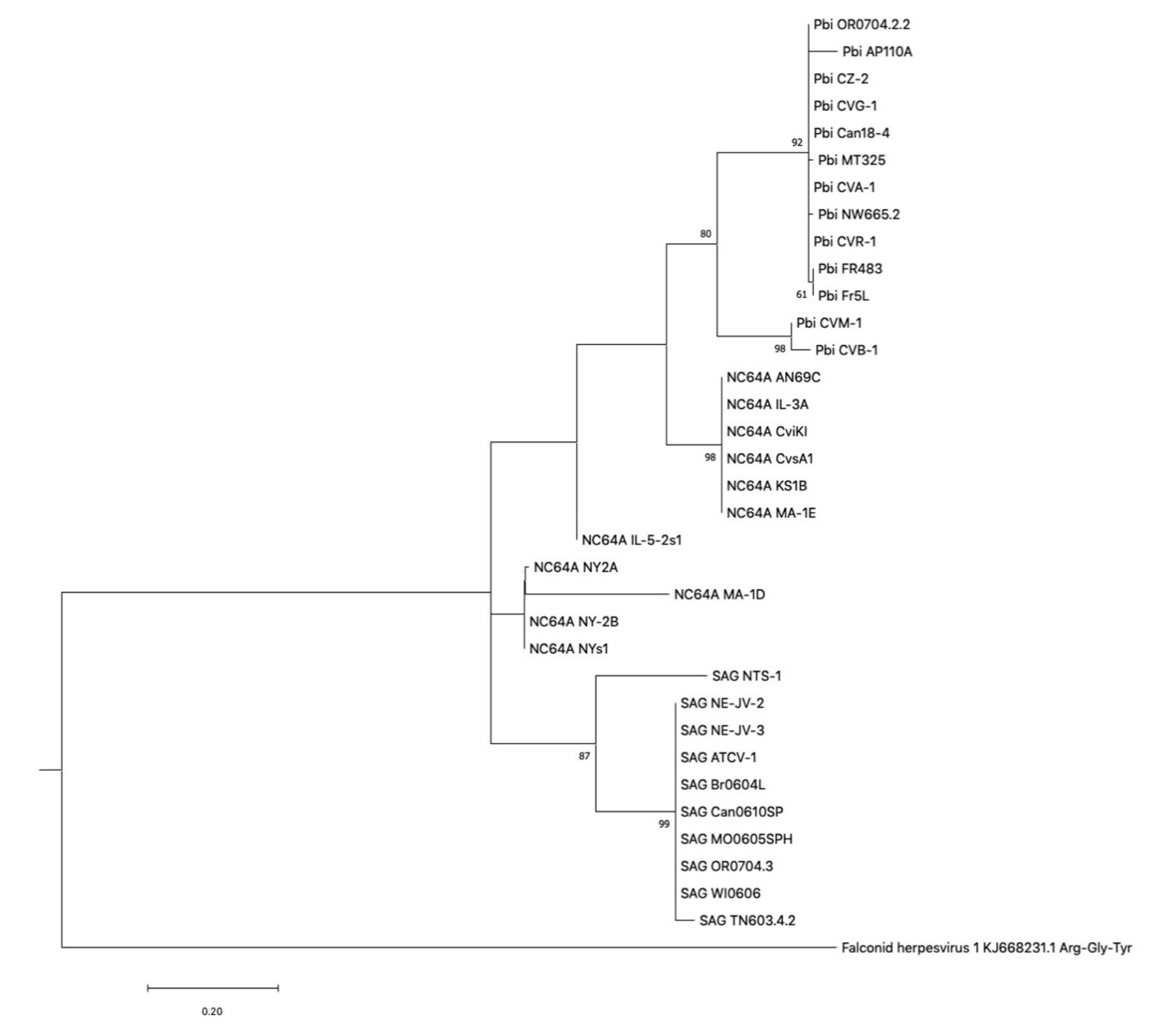 Viruses 12 01173 g002