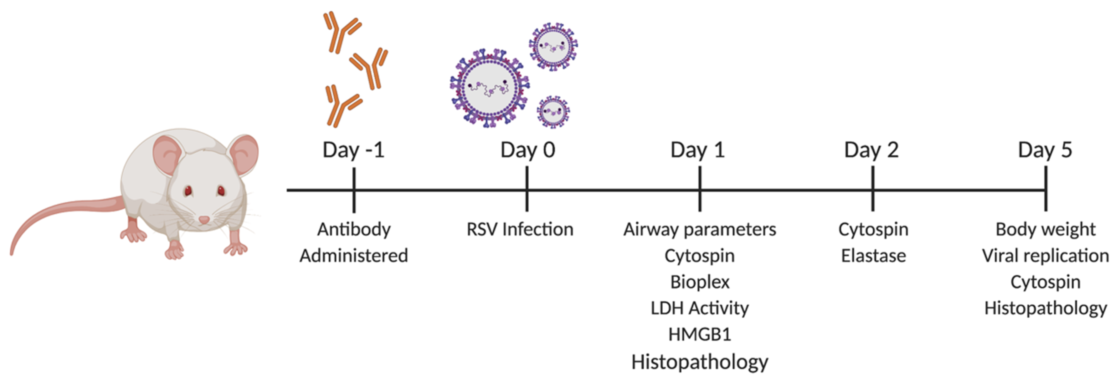 Viruses 12 01176 g001 Viruses 12 01176 g001