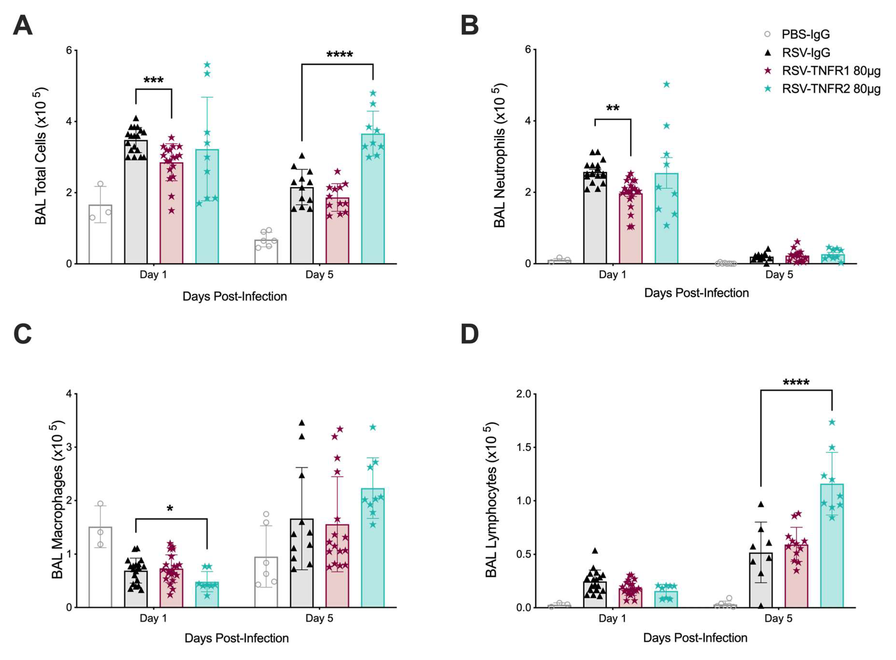 Viruses 12 01176 g003 Viruses 12 01176 g003