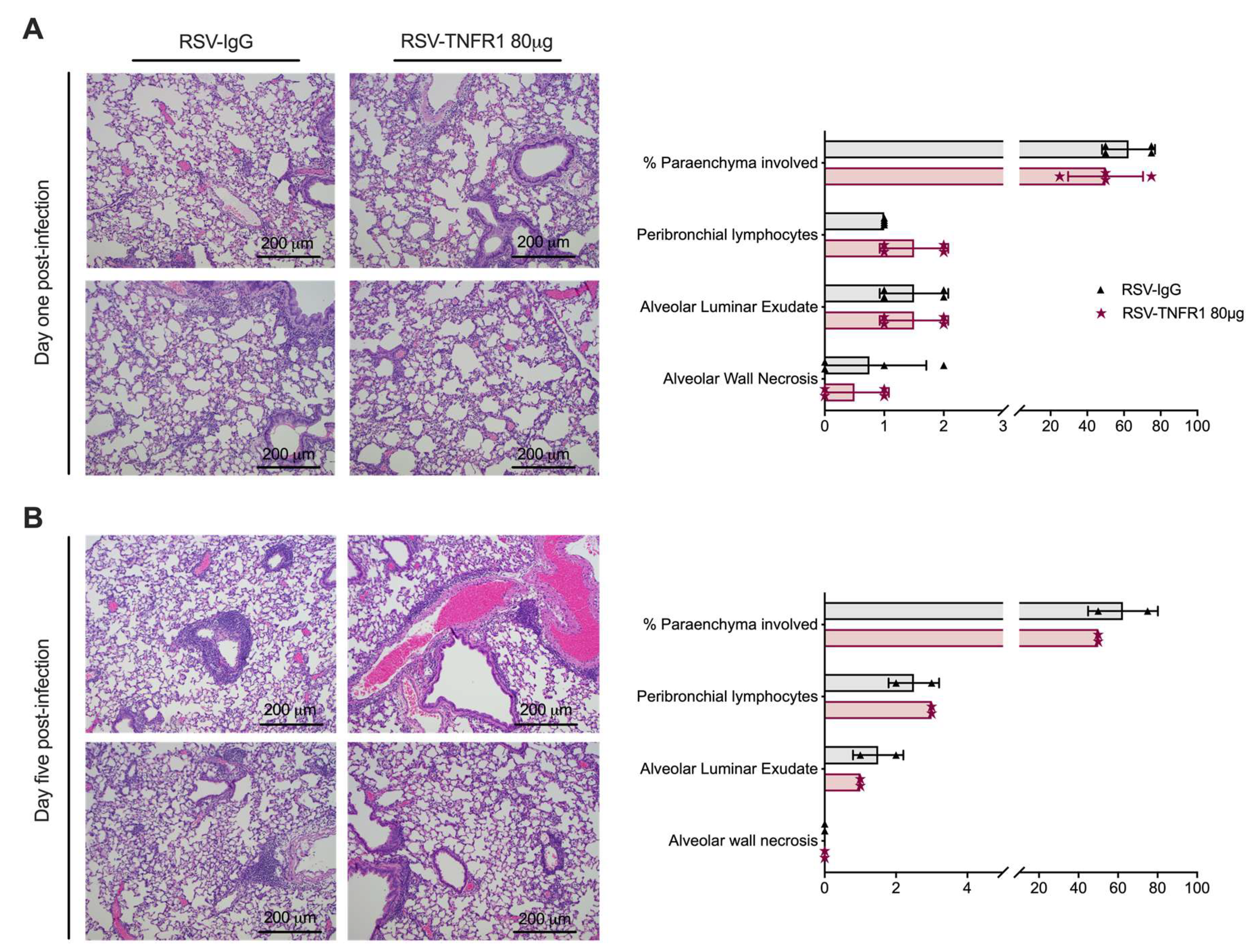 Viruses 12 01176 g005 Viruses 12 01176 g005