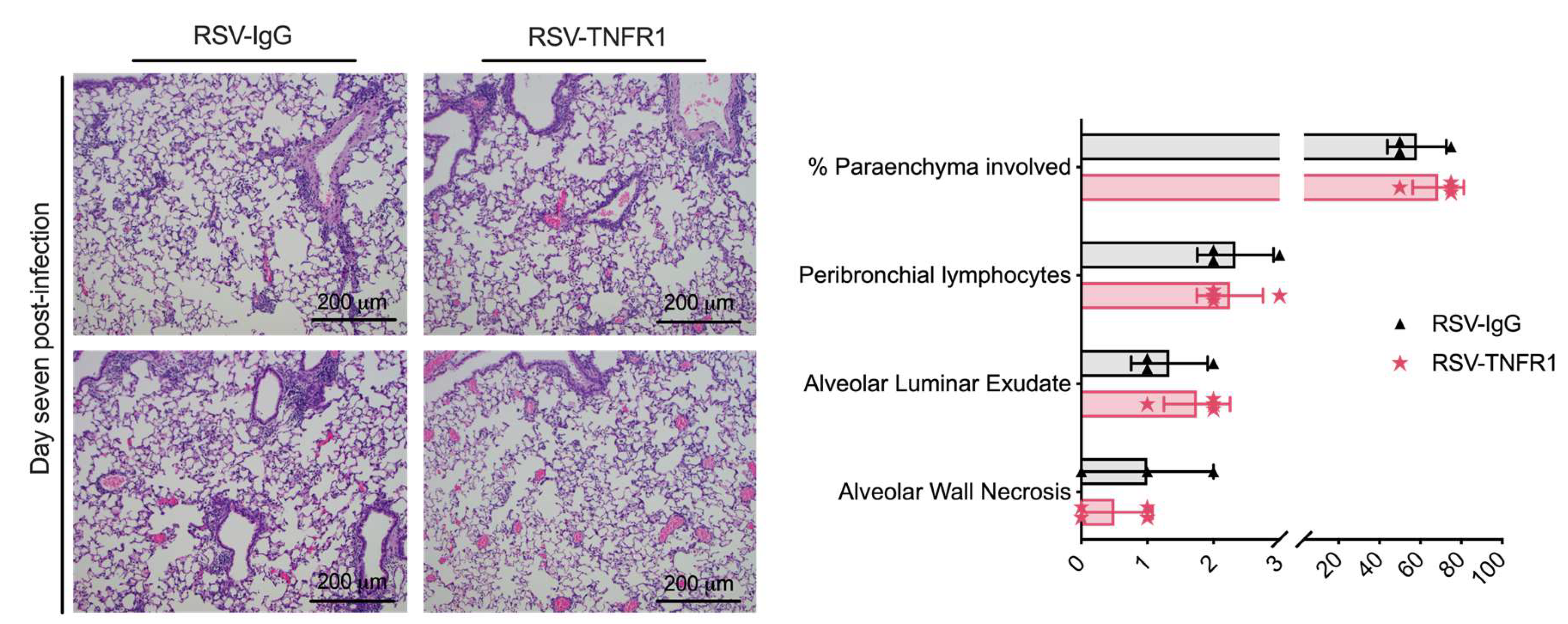 Viruses 12 01176 g011 Viruses 12 01176 g011