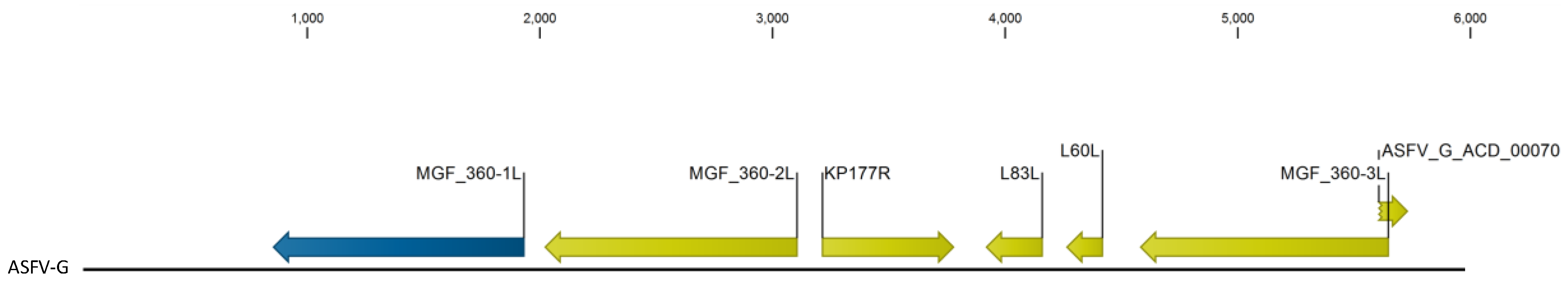Viruses 12 01193 g001 Viruses 12 01193 g001