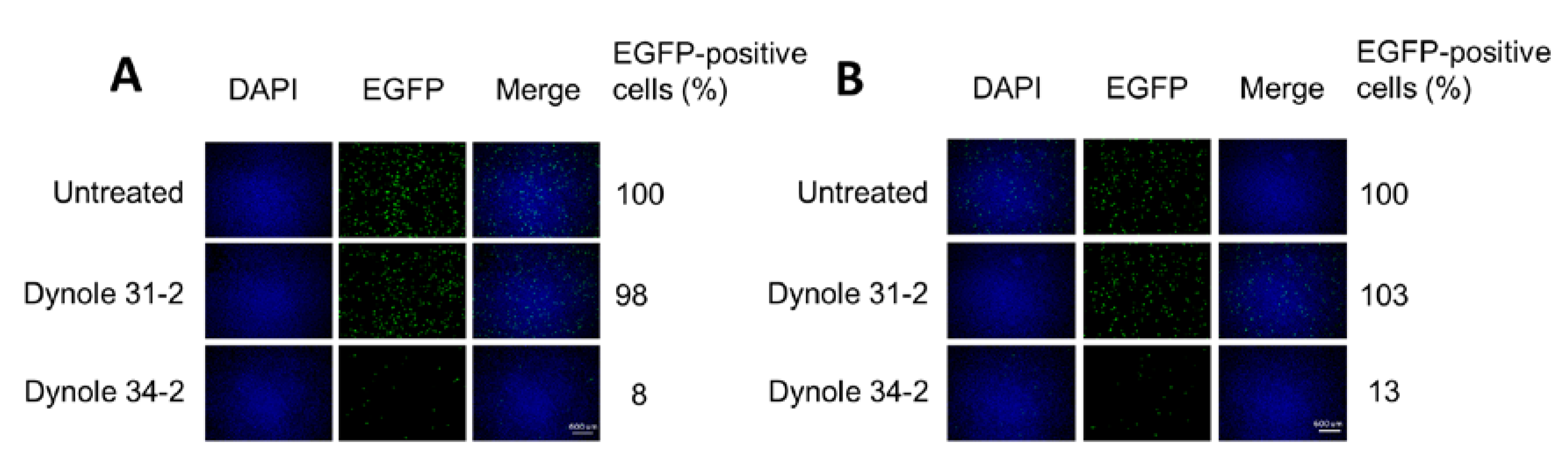 Viruses 12 01199 g005 Viruses 12 01199 g005