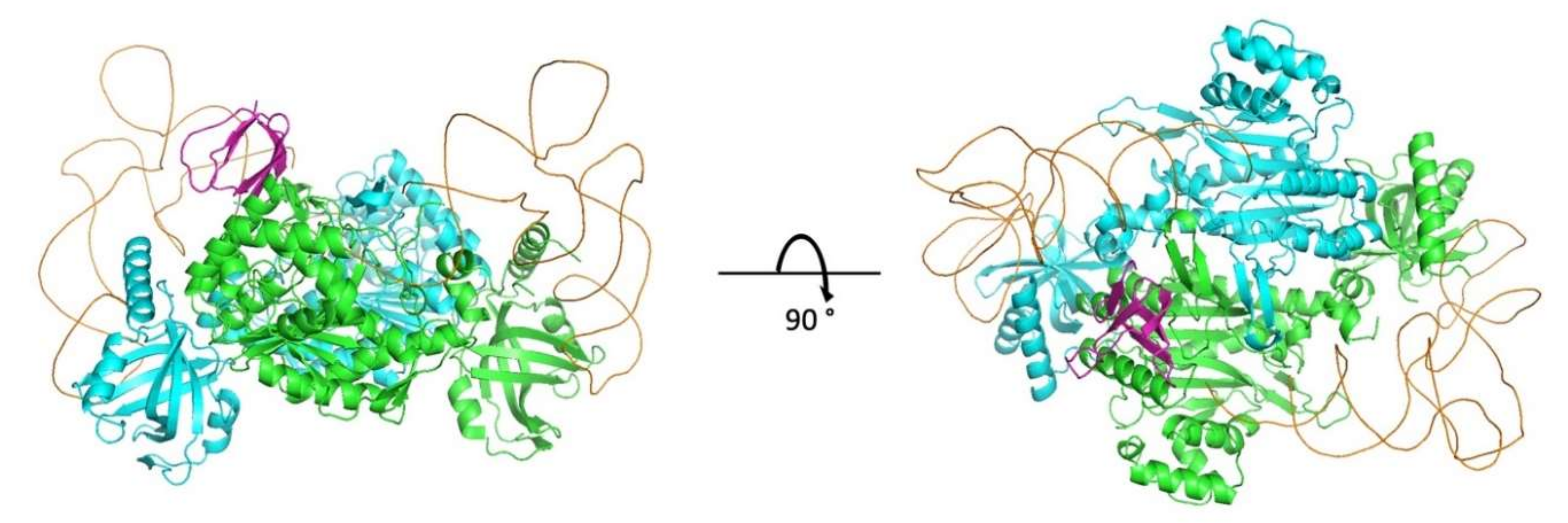 Viruses 12 01202 g007