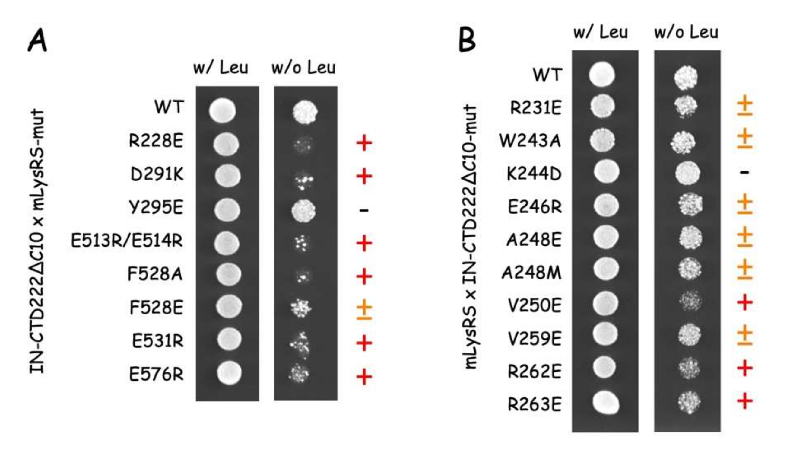 Viruses 12 01202 g008