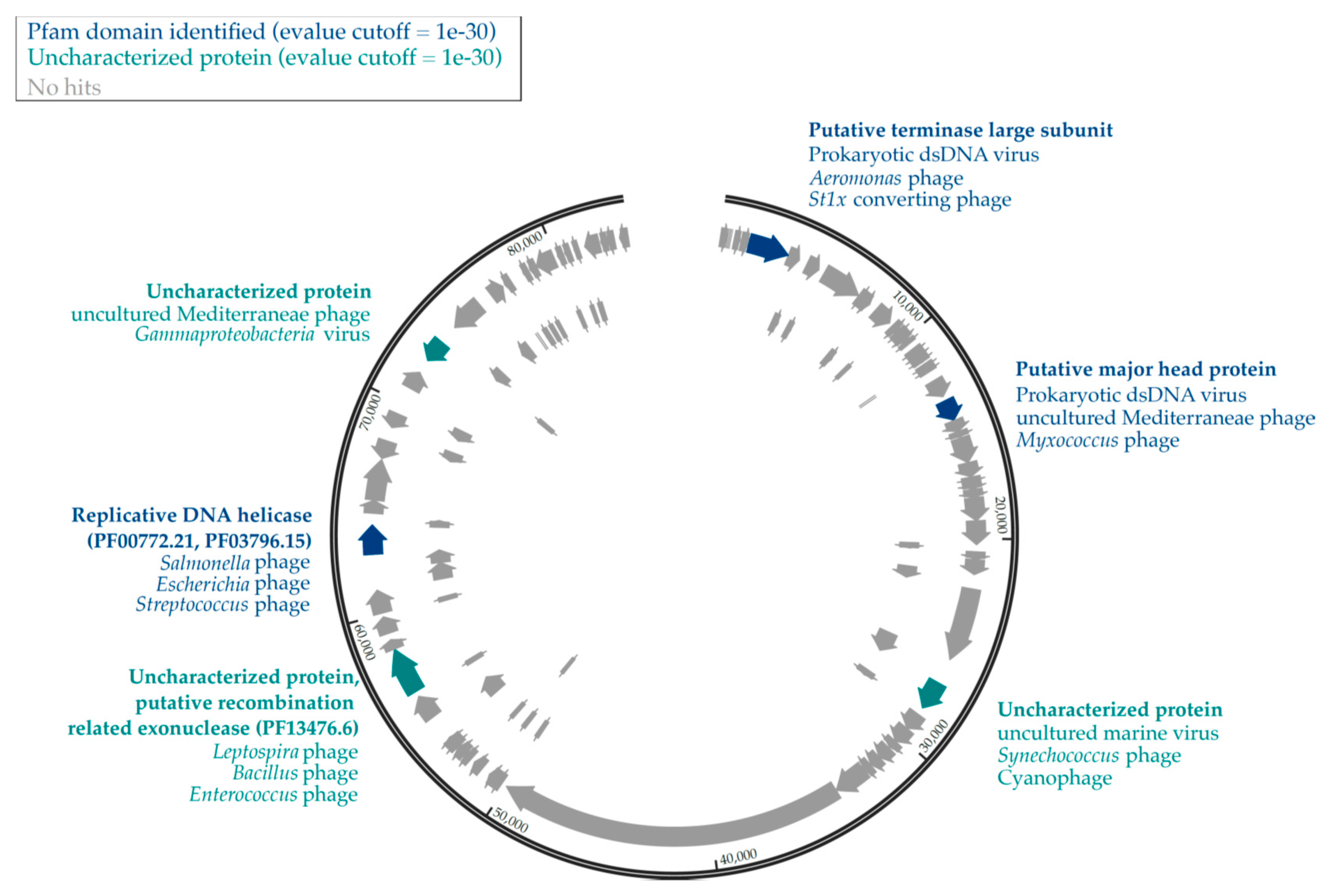 Viruses 12 01204 g002 Viruses 12 01204 g002
