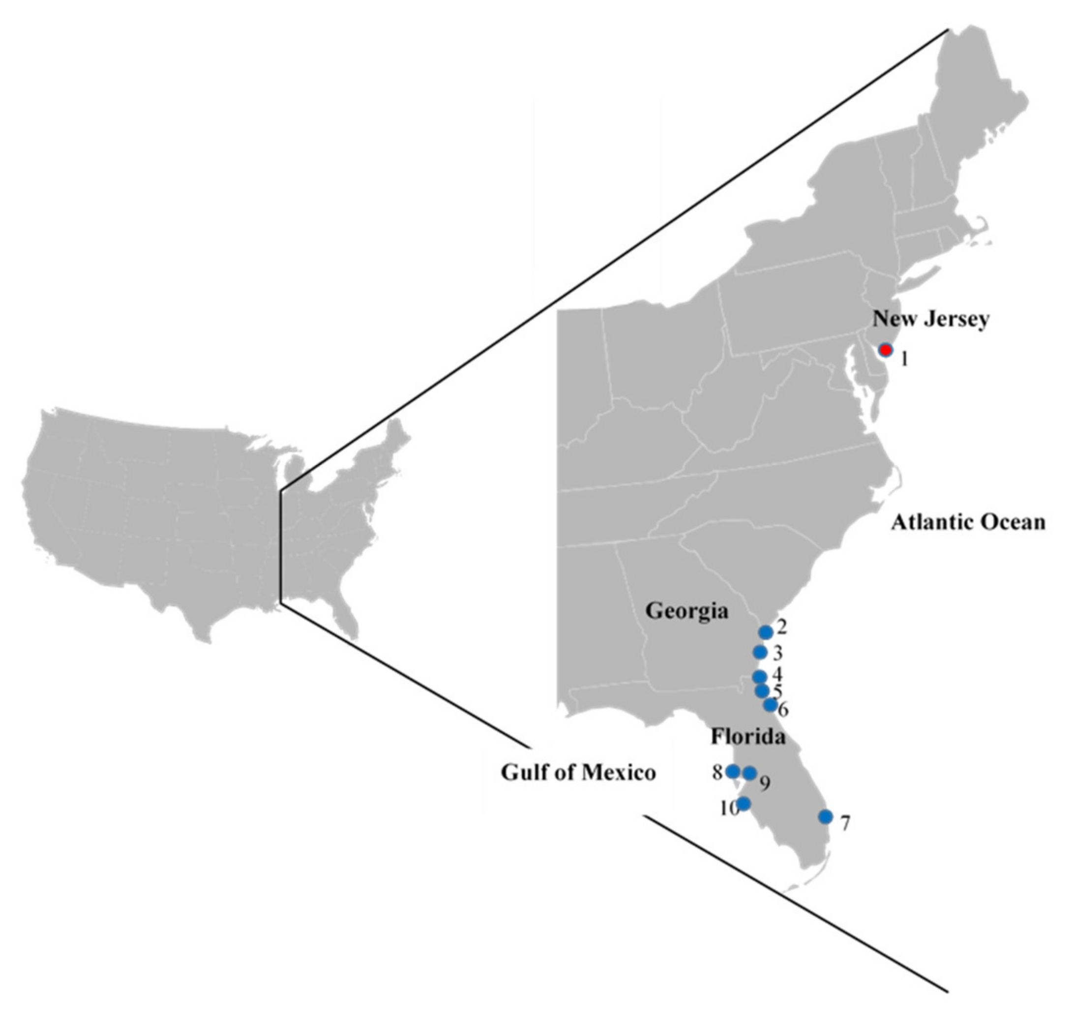 Viruses 12 01205 g001 Viruses 12 01205 g001