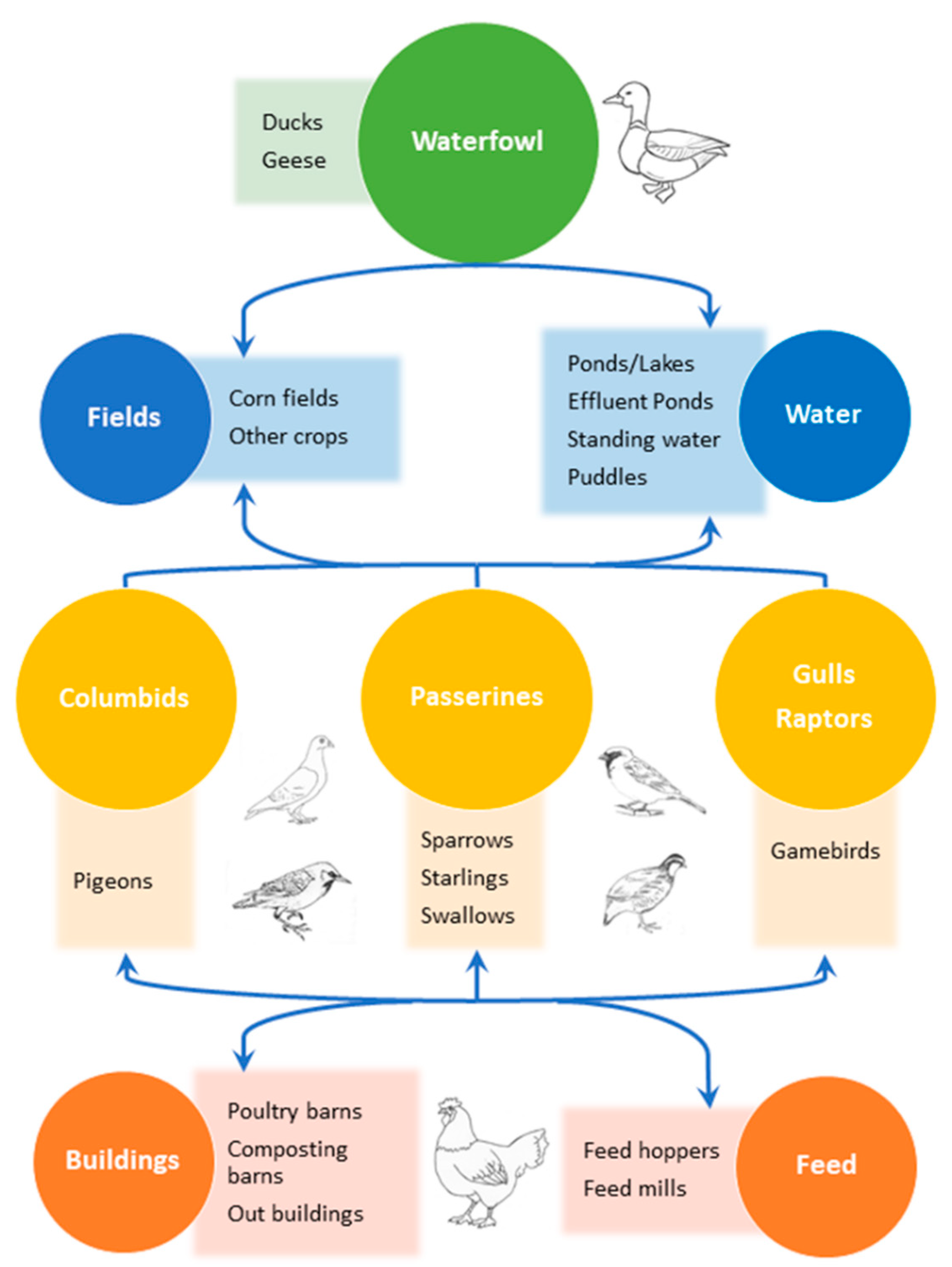 Viruses 12 01209 g001 Viruses 12 01209 g001