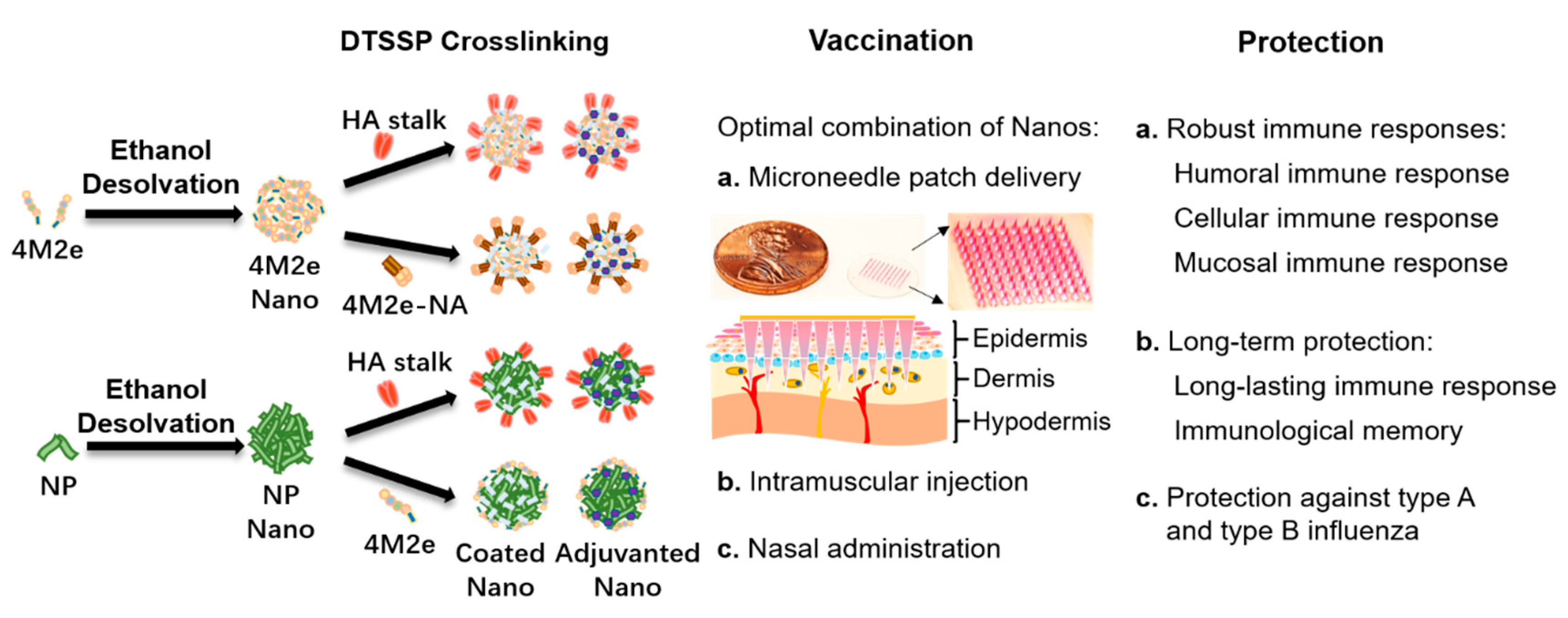 Viruses 12 01212 g002 Viruses 12 01212 g002