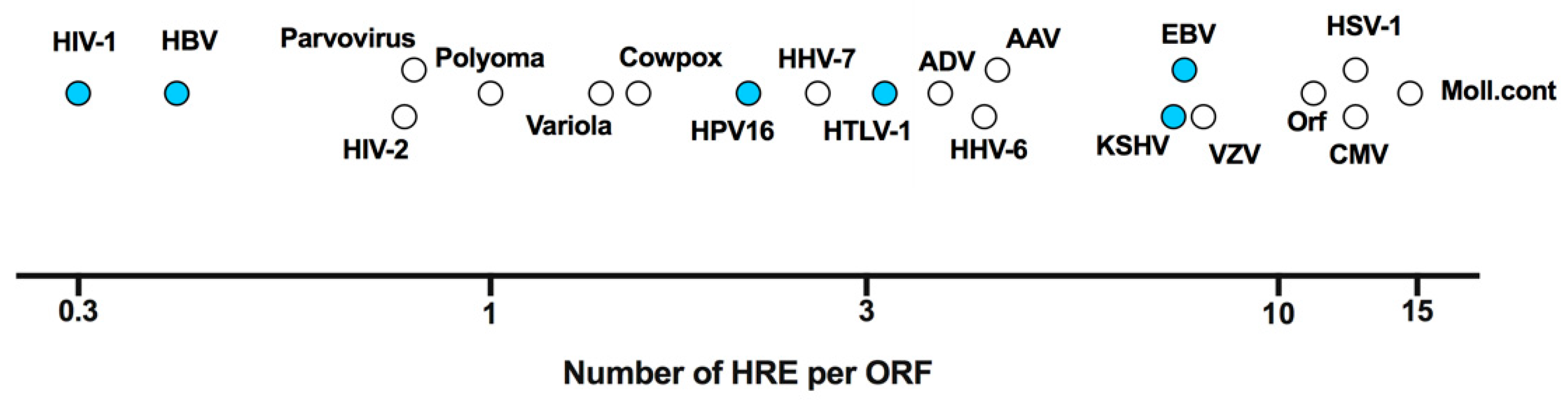Viruses 12 01213 g002