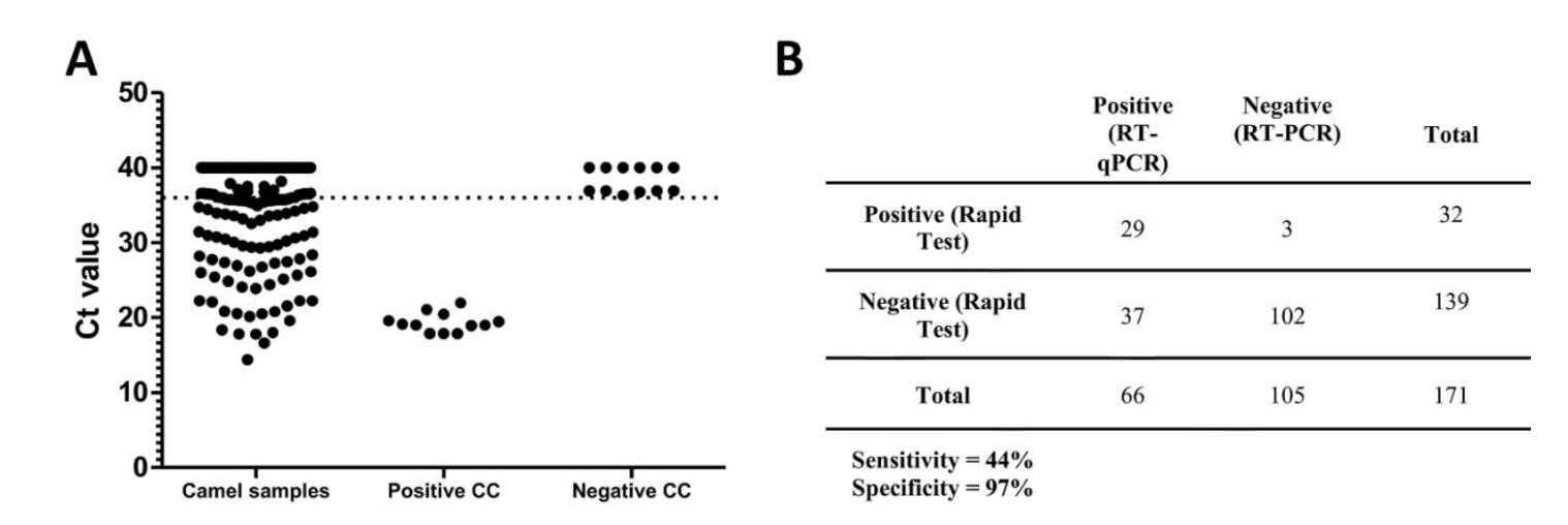 Viruses 12 01215 g001 Viruses 12 01215 g001