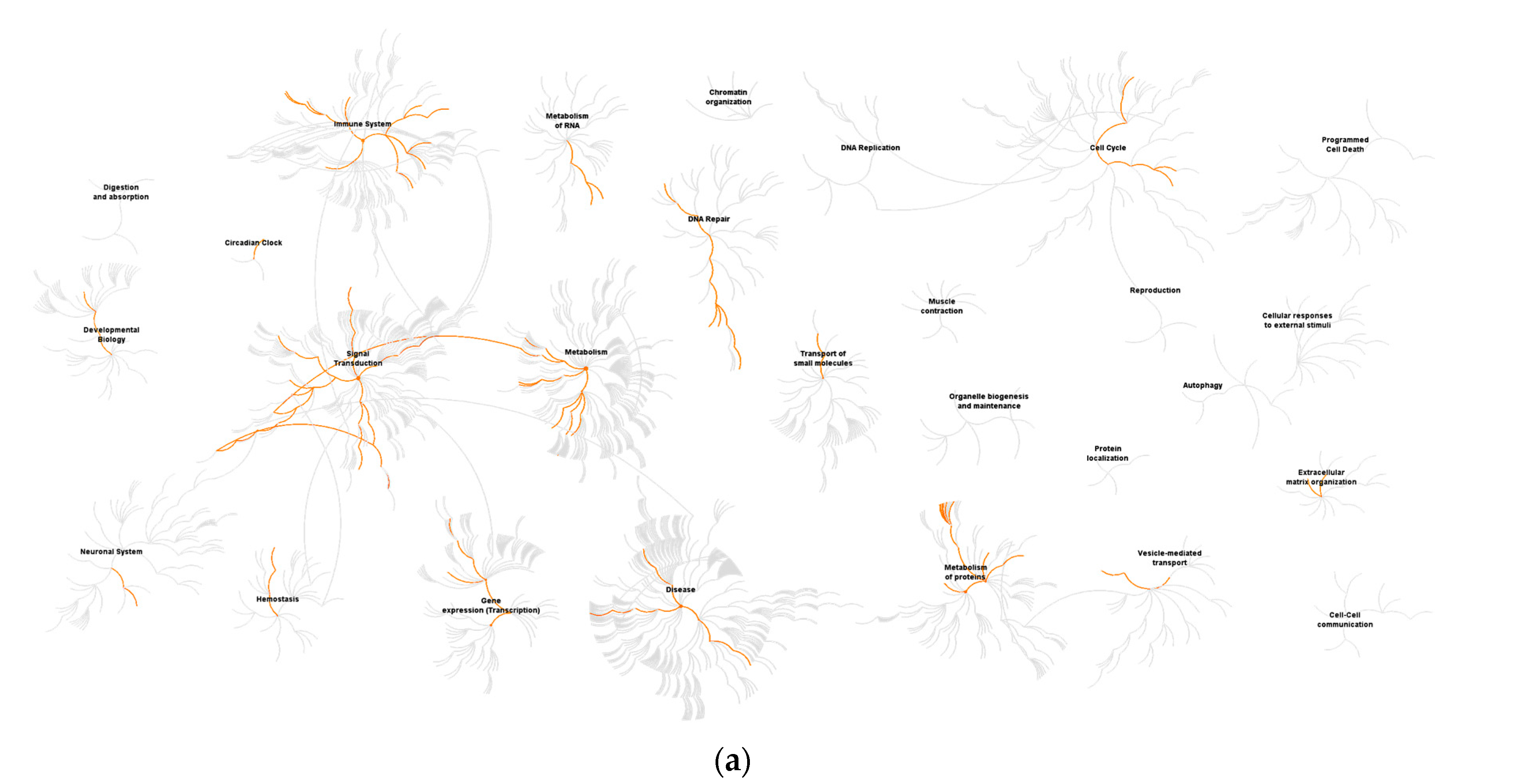 Viruses 12 01219 g004a Viruses 12 01219 g004a