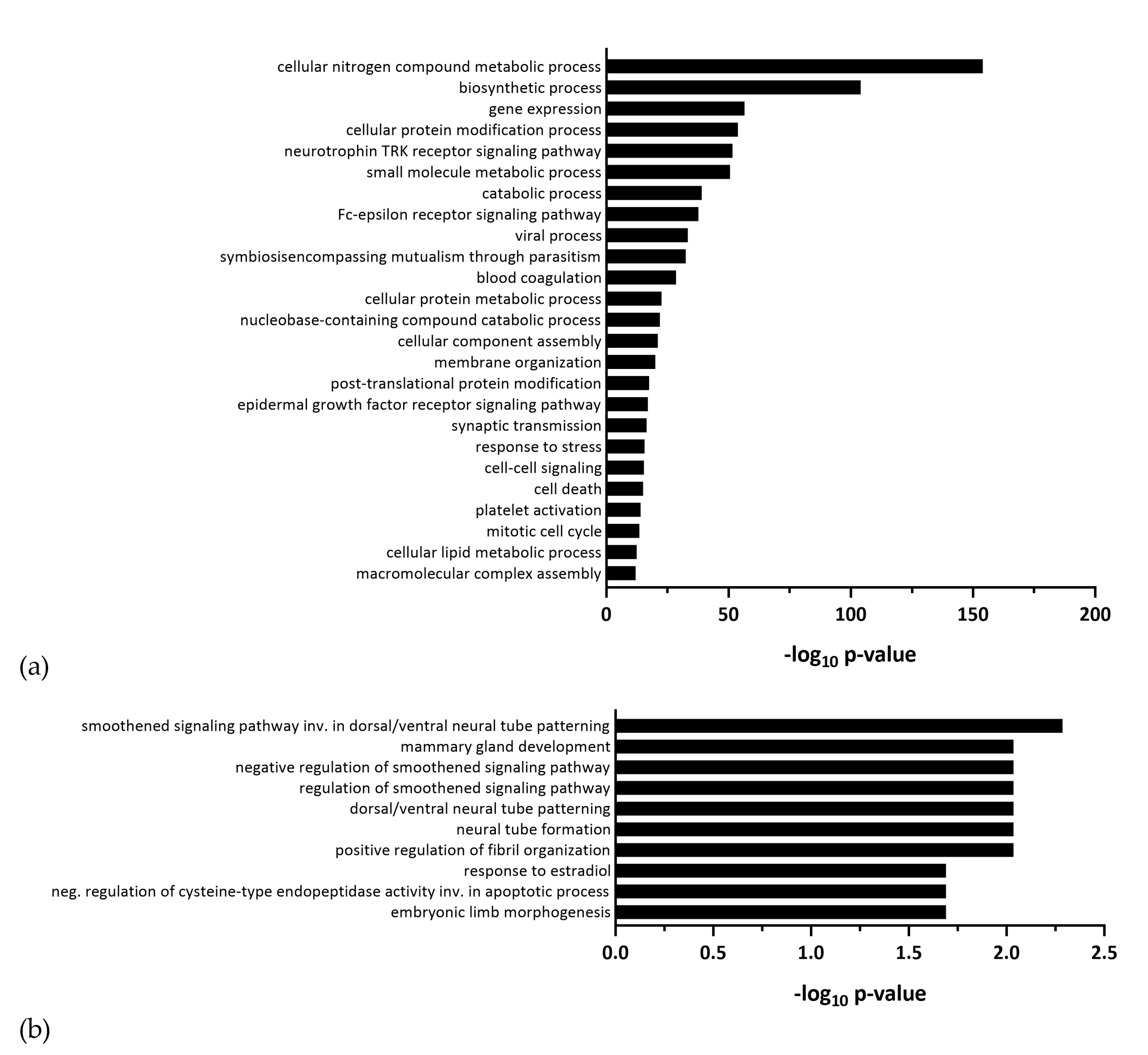 Viruses 12 01219 g006 Viruses 12 01219 g006