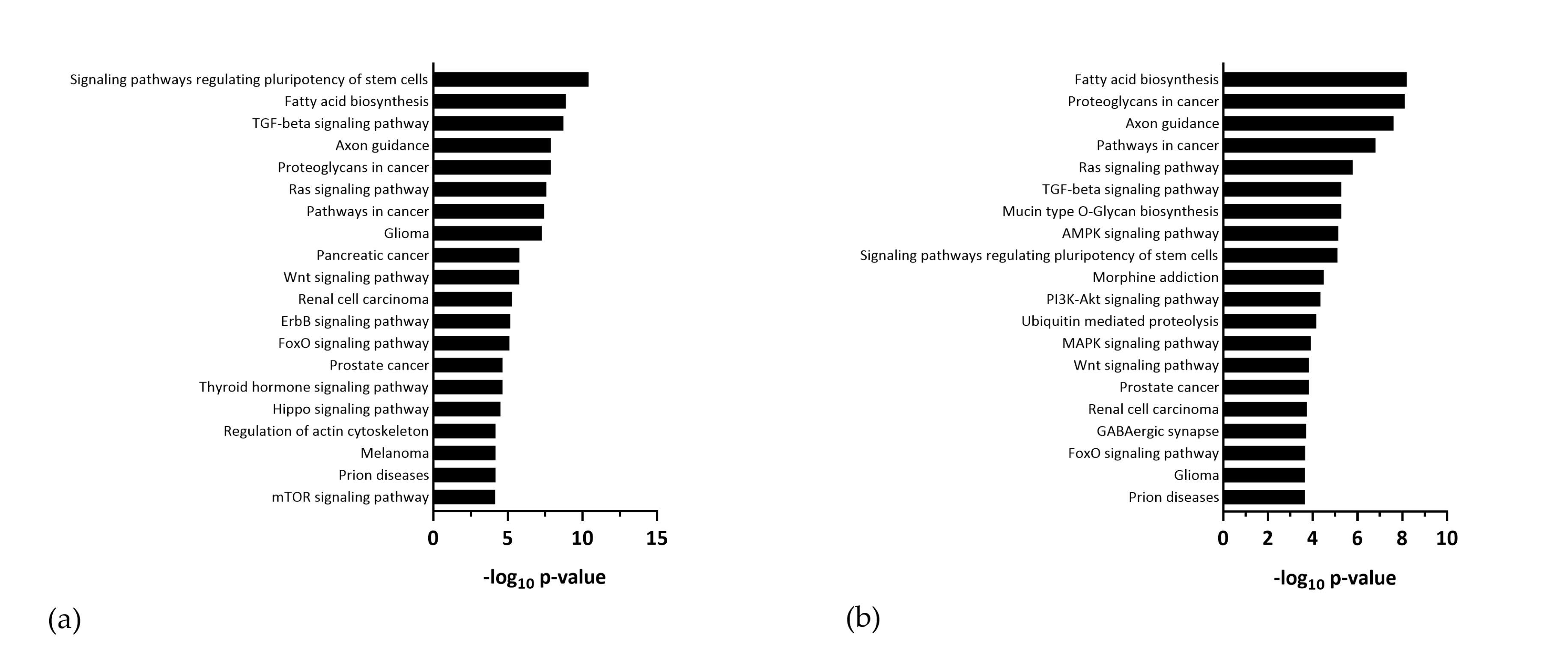 Viruses 12 01219 g008 Viruses 12 01219 g008