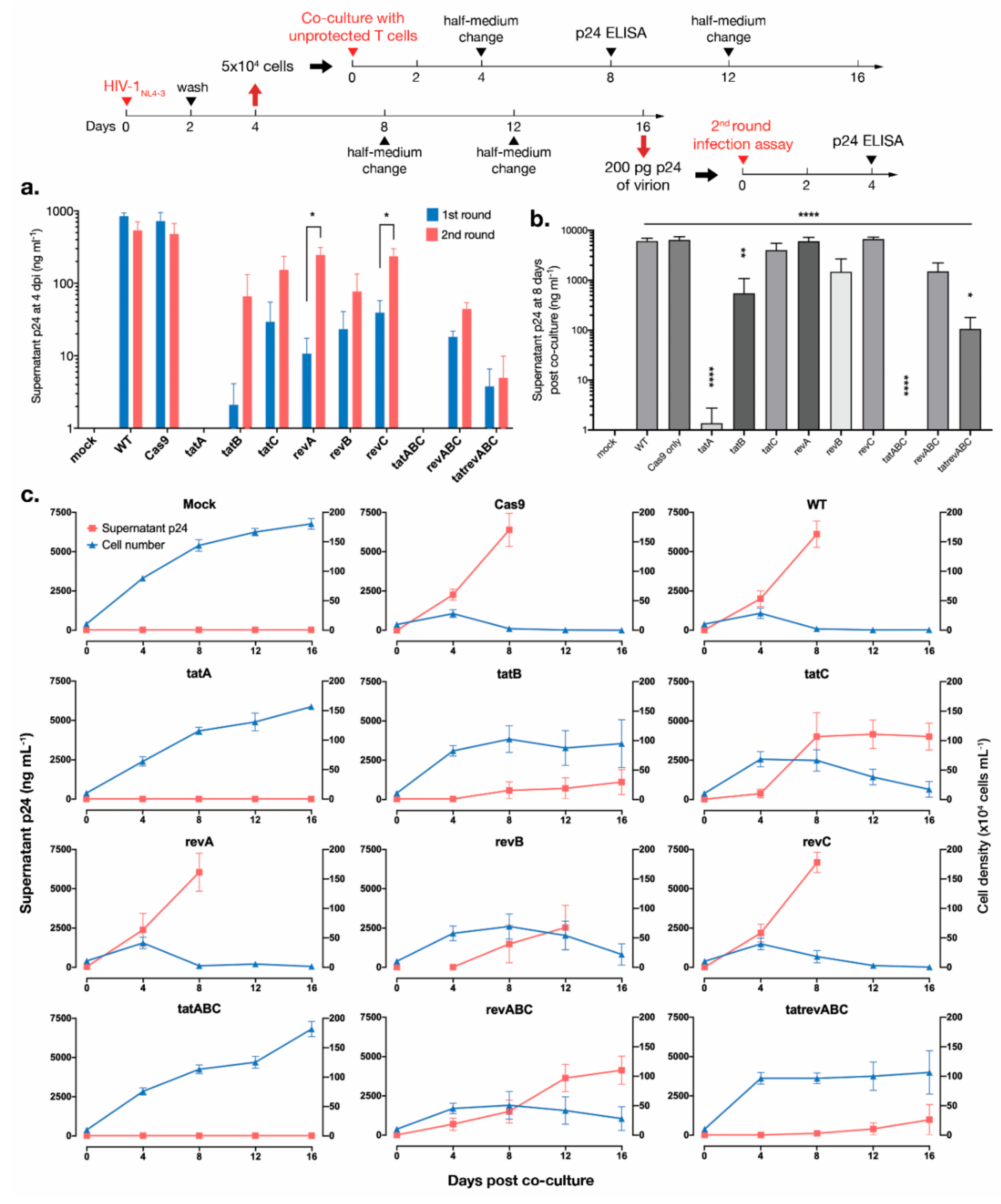 Viruses 12 01223 g004 Viruses 12 01223 g004