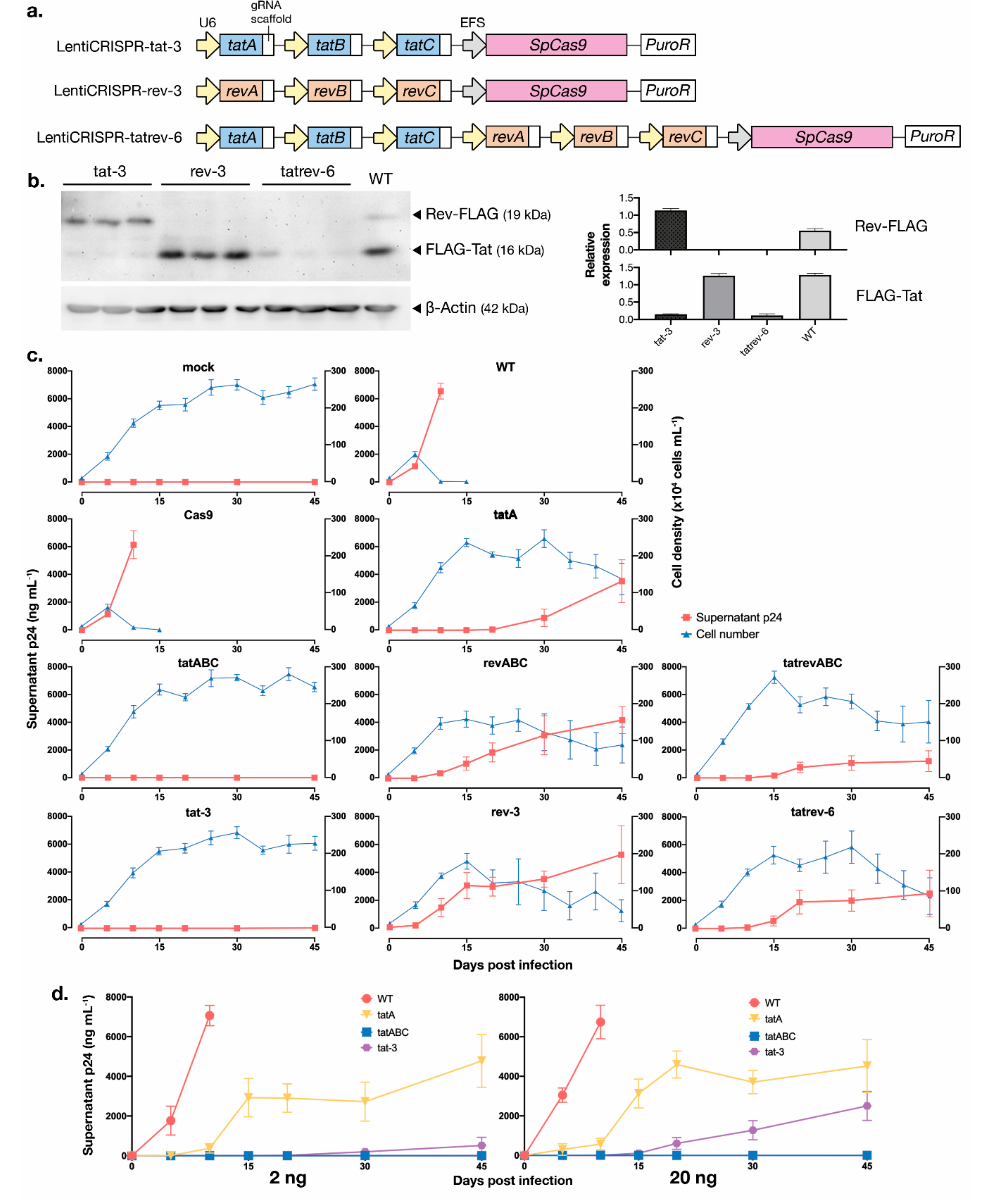 Viruses 12 01223 g005 Viruses 12 01223 g005