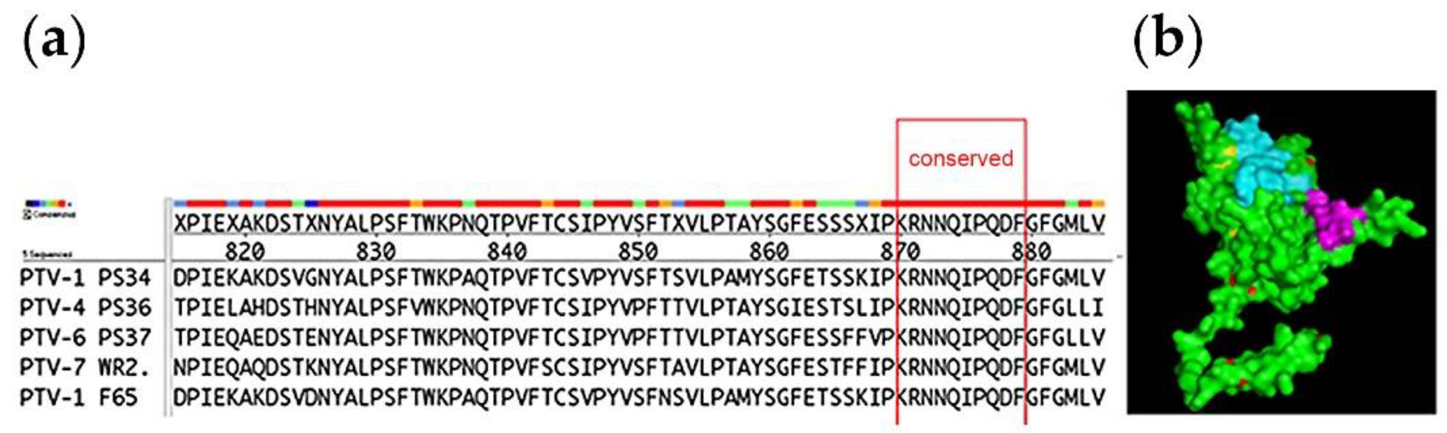 Viruses 12 01225 g001 Viruses 12 01225 g001