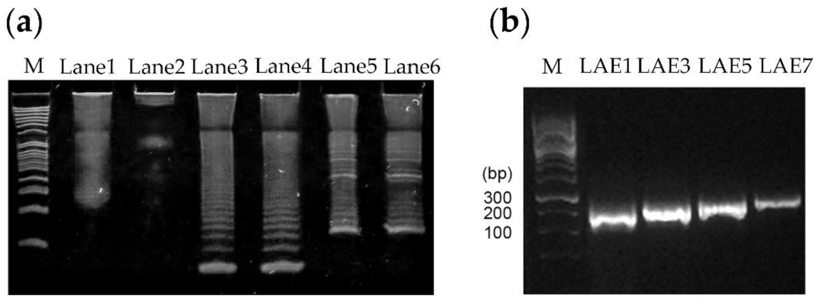 Viruses 12 01225 g002 Viruses 12 01225 g002