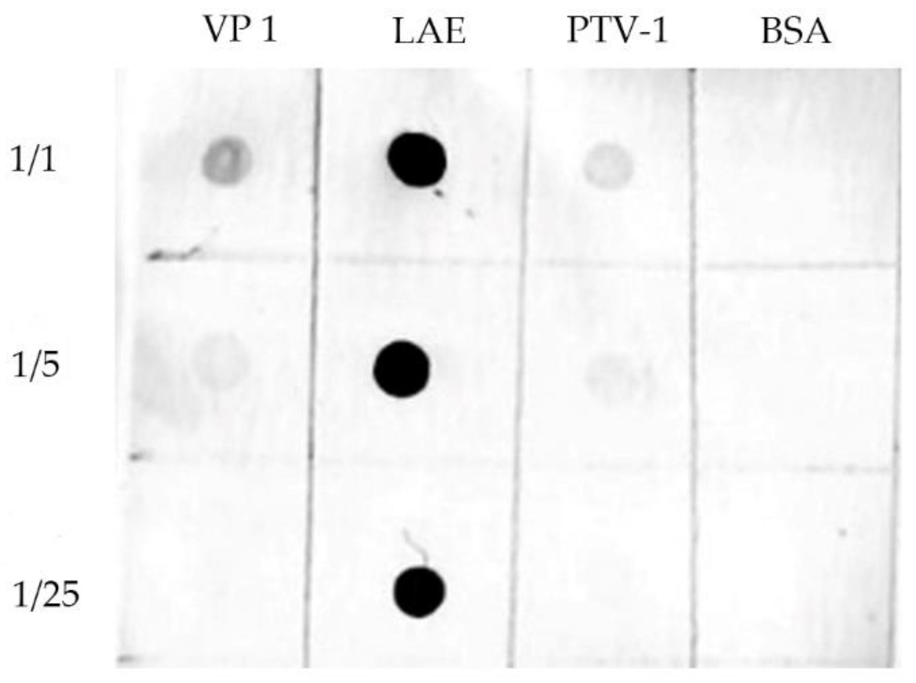 Viruses 12 01225 g005 Viruses 12 01225 g005