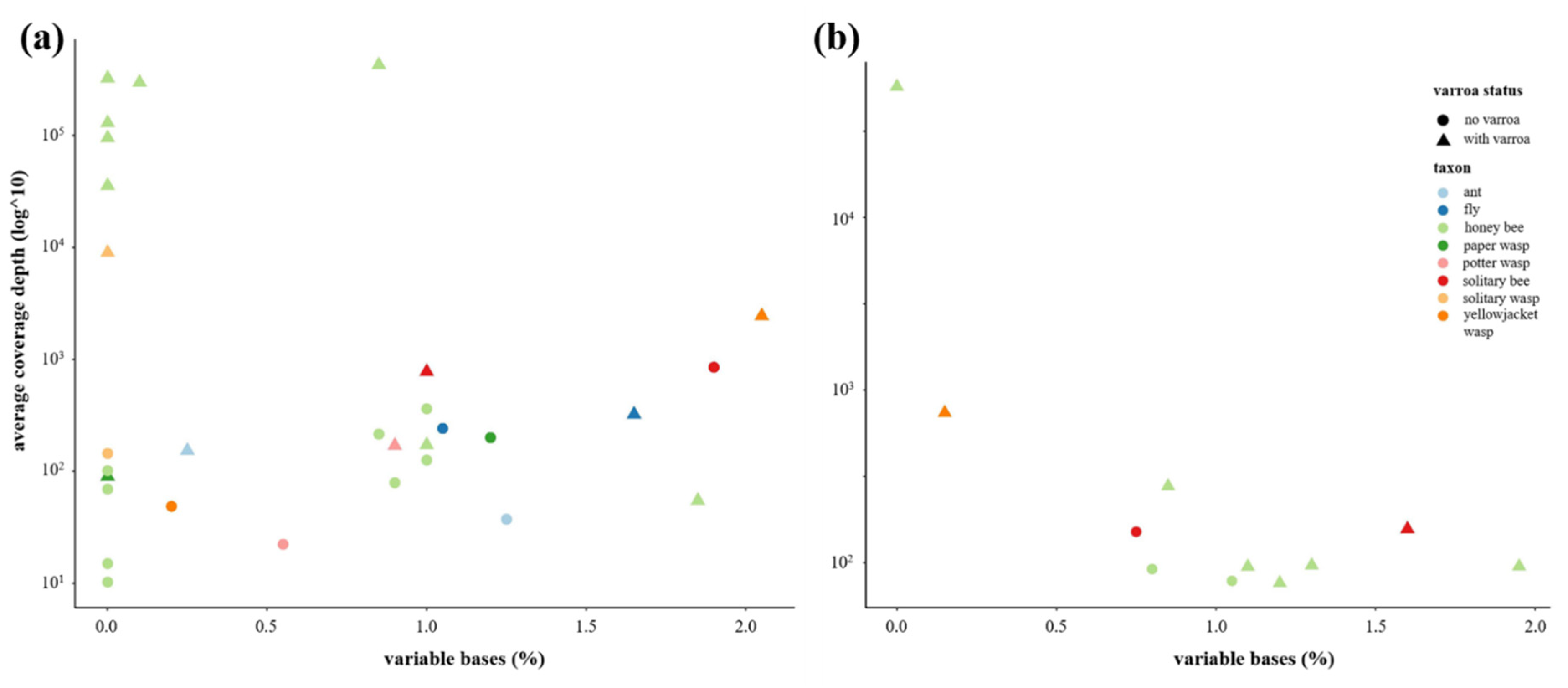 Viruses 12 01229 g006 Viruses 12 01229 g006
