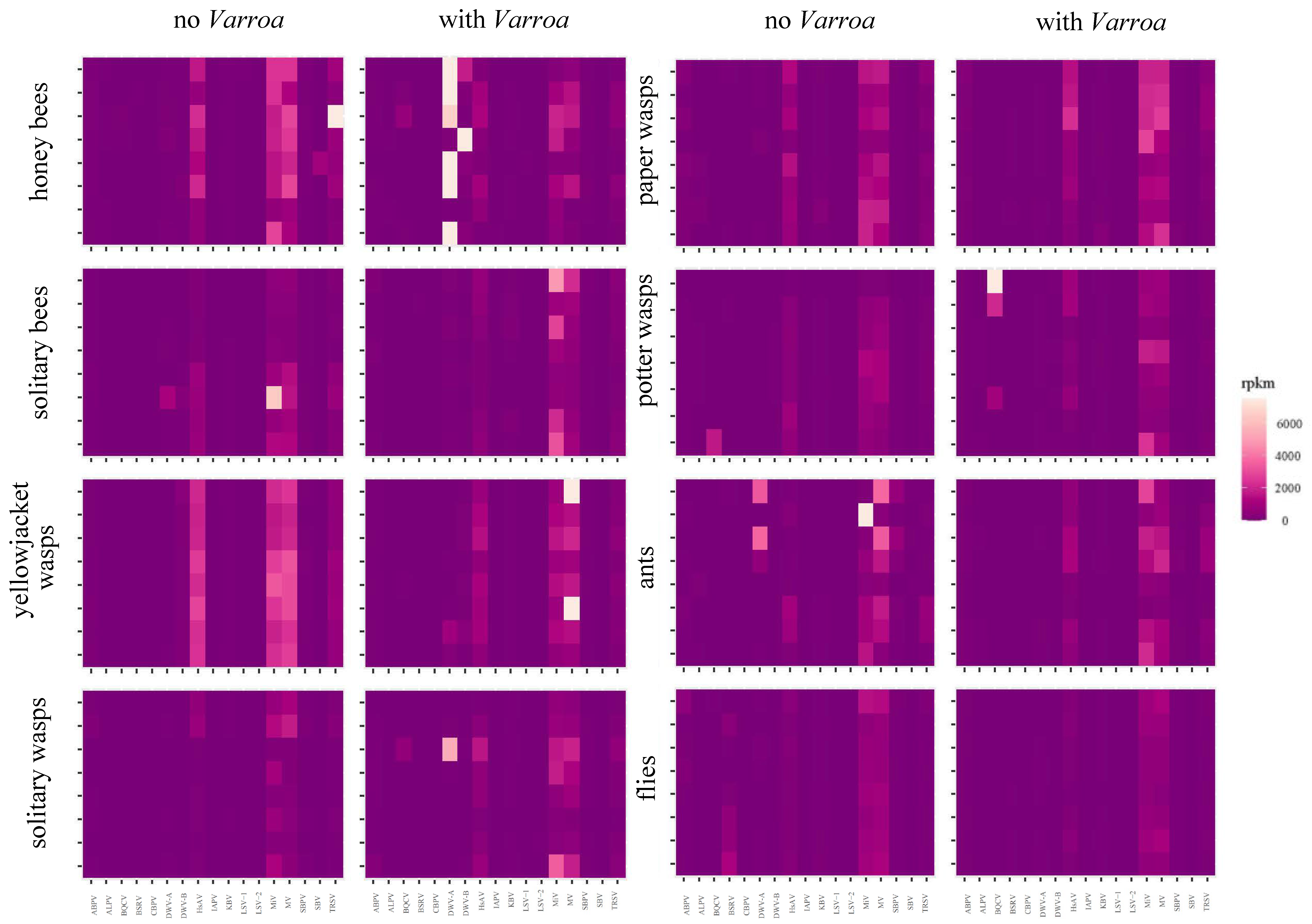 Viruses 12 01229 g007 Viruses 12 01229 g007